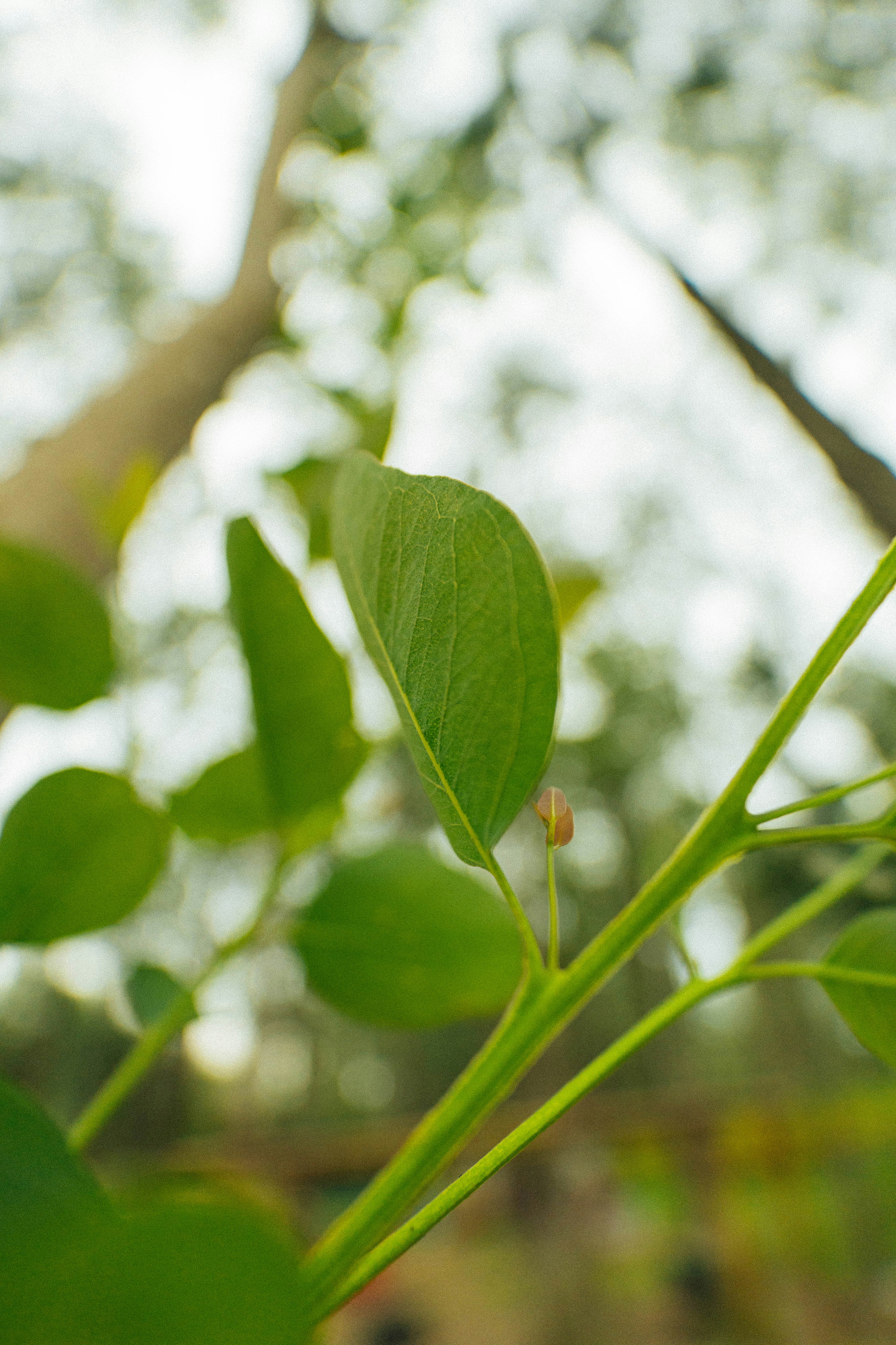 Photo by jonathecreator