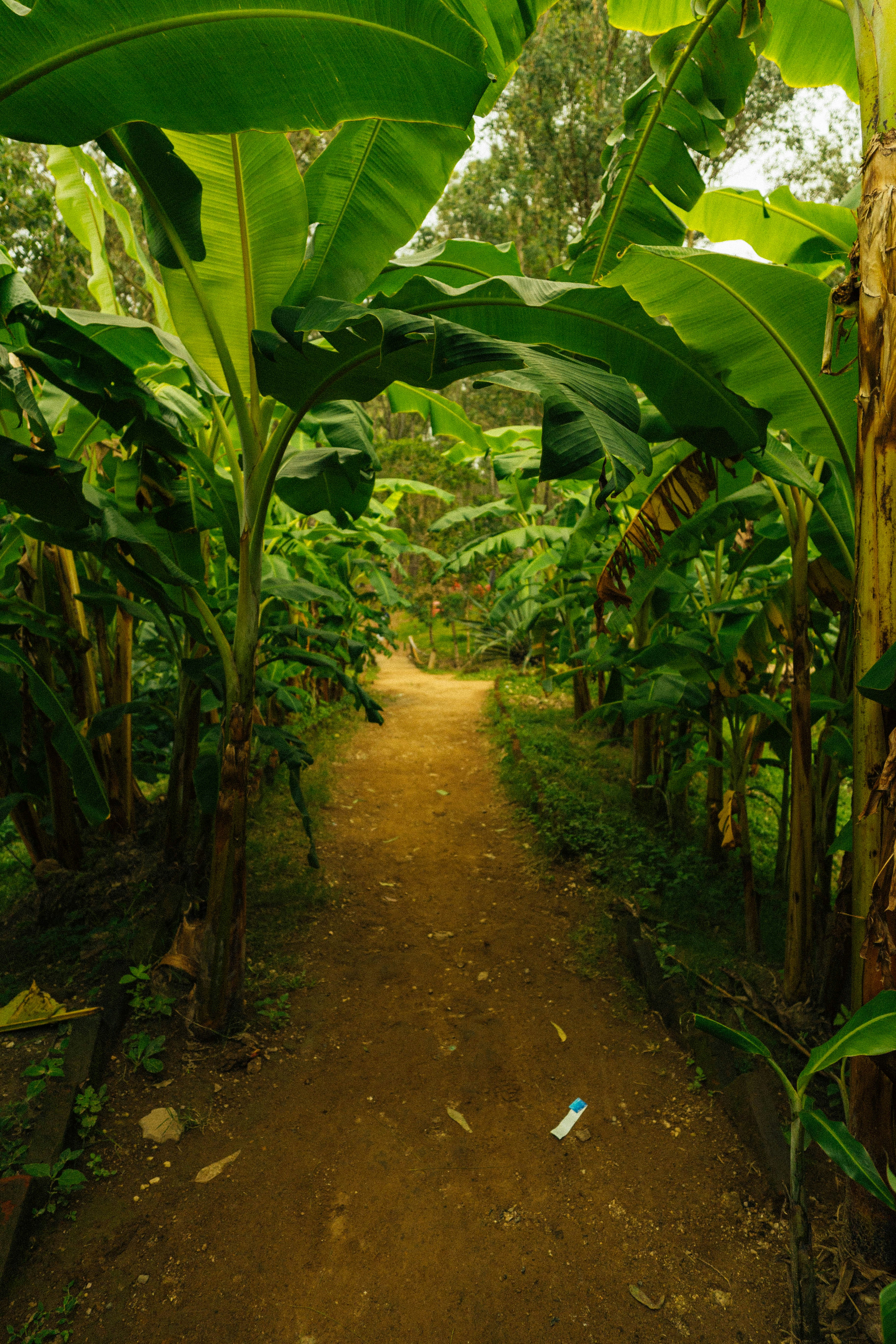 Photo by jonathecreator