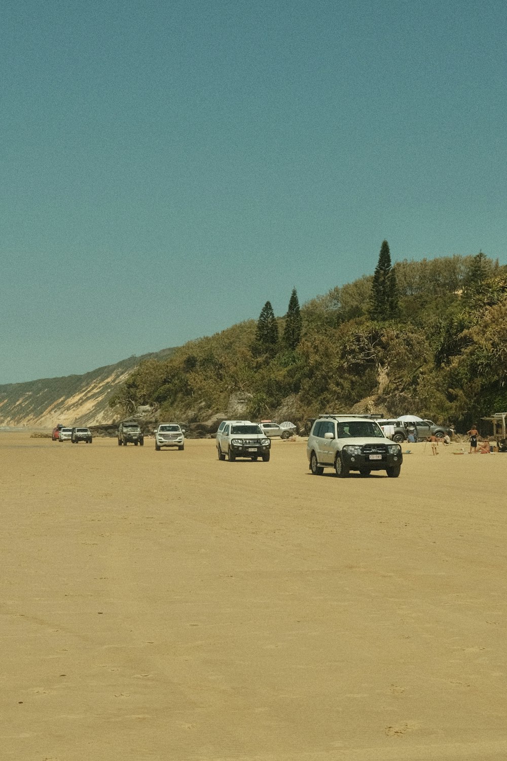 모래 해변에 주차된 자동차 그룹