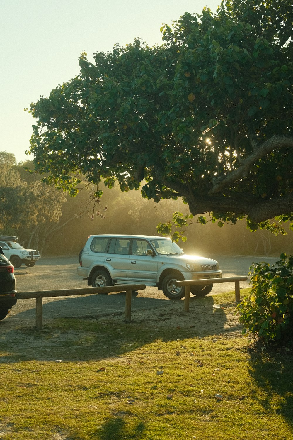 a white suv parked in a parking lot next to a tree