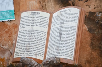 A large open book is mounted on a stone wall, with text written in two languages. The left side features text in Bangla, while the right side presents the same content in English, titled 'Panam City'. The stone wall has a rugged texture and a small, partially visible sign with additional information in Bangla on the upper left corner.