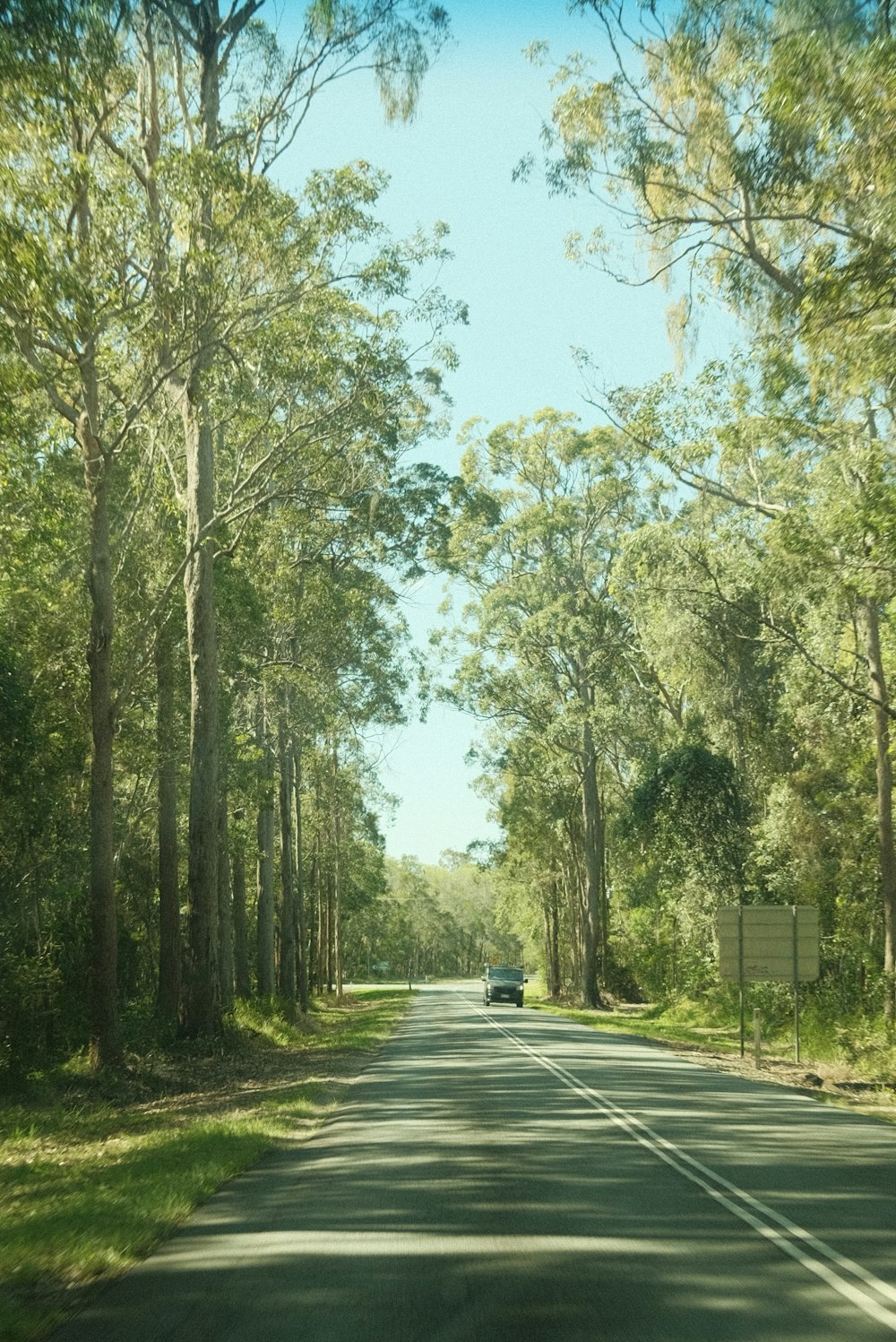 a car driving down a tree lined road