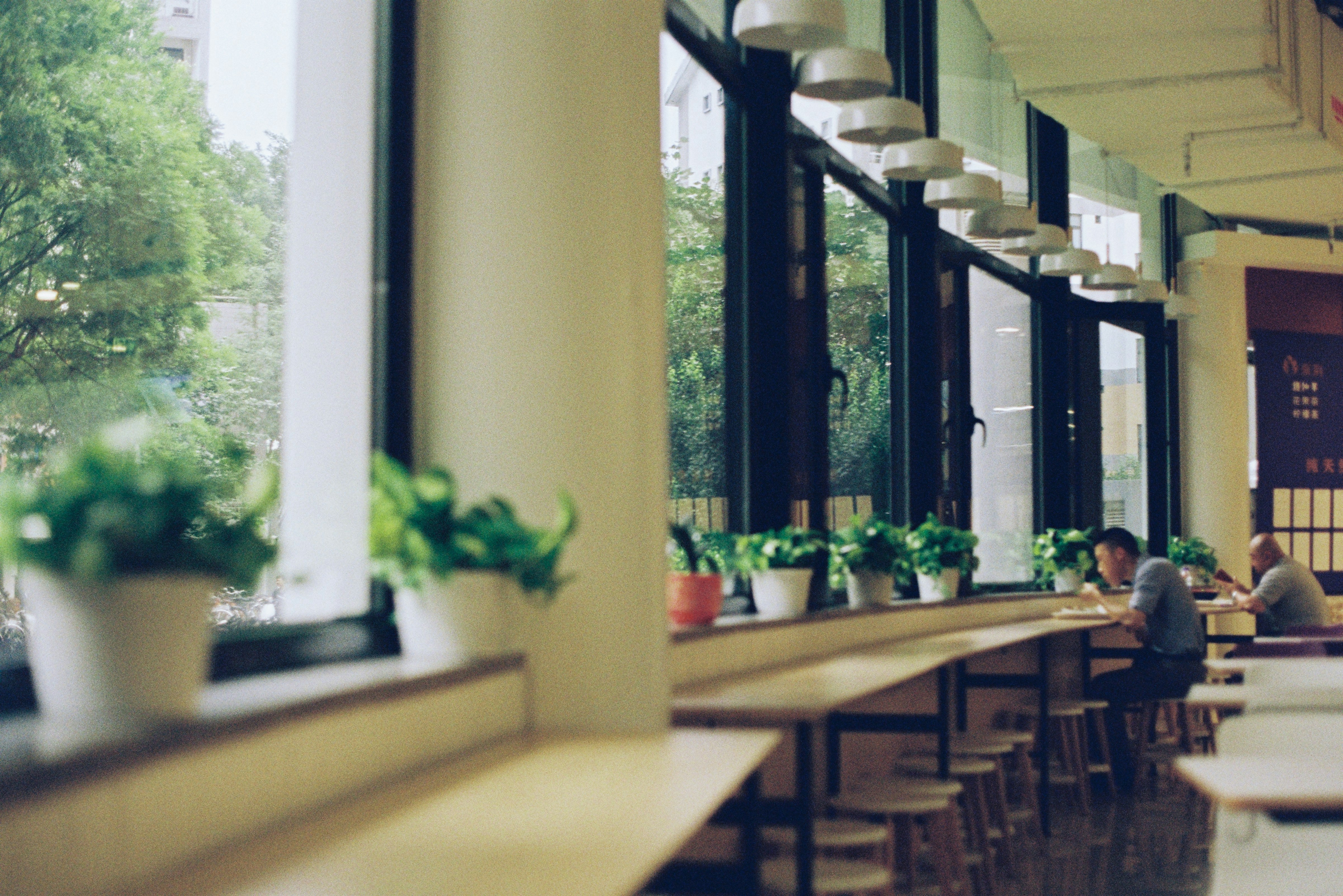 Photo by megamind006