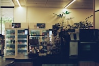 A dimly lit indoor space with two refrigerated display units containing various packaged goods. A large leafy plant decorates the area between the refrigerators. In the foreground, a counter with kitchen appliances and bottles is visible. The setting appears to be a self-service or small convenience area with a calm ambiance.