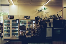 A dimly lit indoor space with two refrigerated display units containing various packaged goods. A large leafy plant decorates the area between the refrigerators. In the foreground, a counter with kitchen appliances and bottles is visible. The setting appears to be a self-service or small convenience area with a calm ambiance.