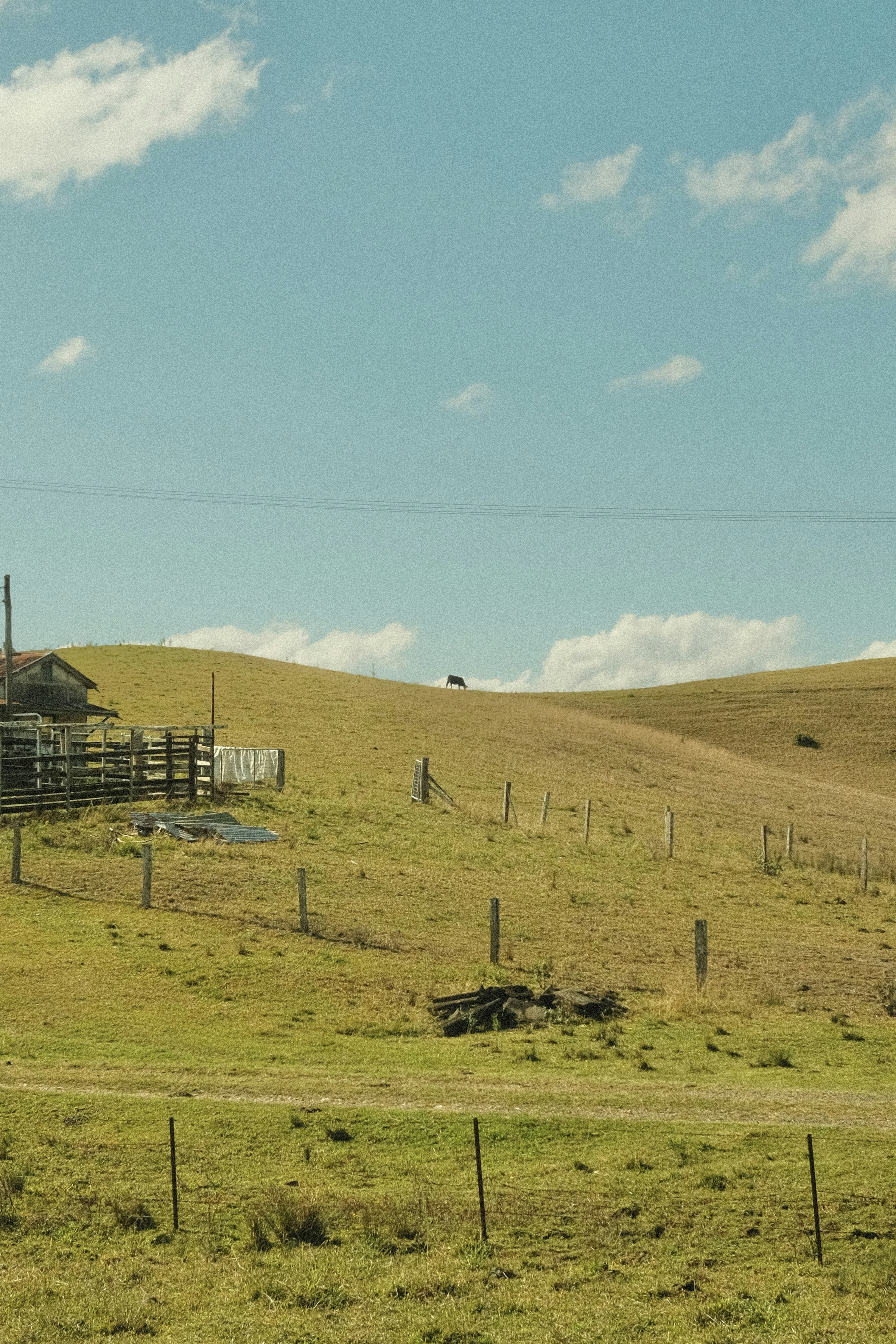 Photo by sophiepengjy