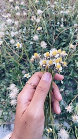 Elegant hands wearing thin gold rings adorned with tiny gemstones, holding a bouquet of wildflowers.