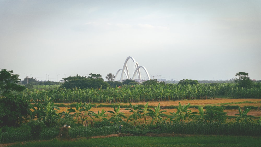 a large white structure in the middle of a corn field