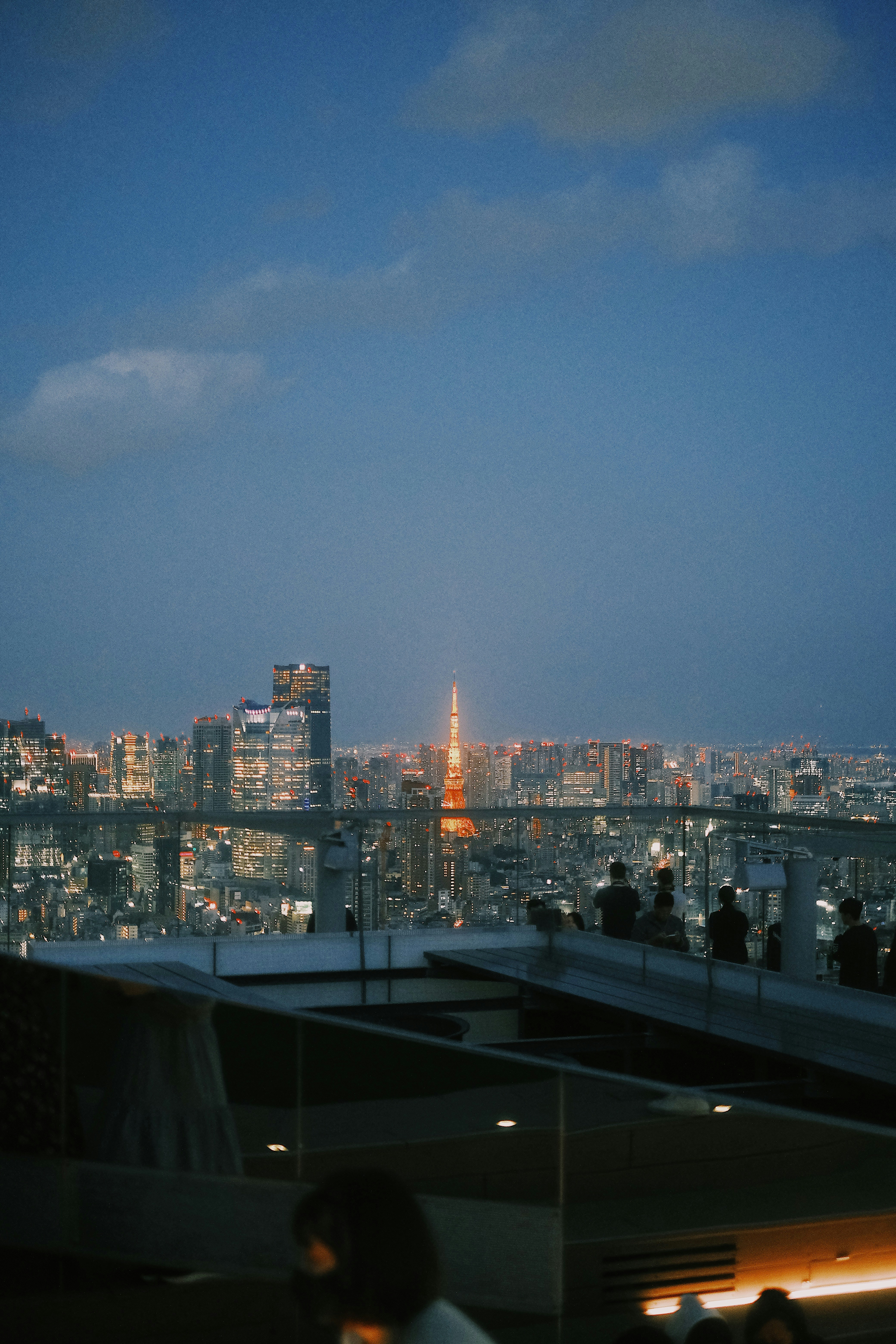 View from Shibuya Sky Observatory at night