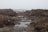 A foggy coastal landscape with large mounds of seaweed scattered across the shoreline. The seaweed is dark brown and wet, lying in thick clumps along the beach. The ocean is visible in the background with gentle waves rolling in under a gray, overcast sky.