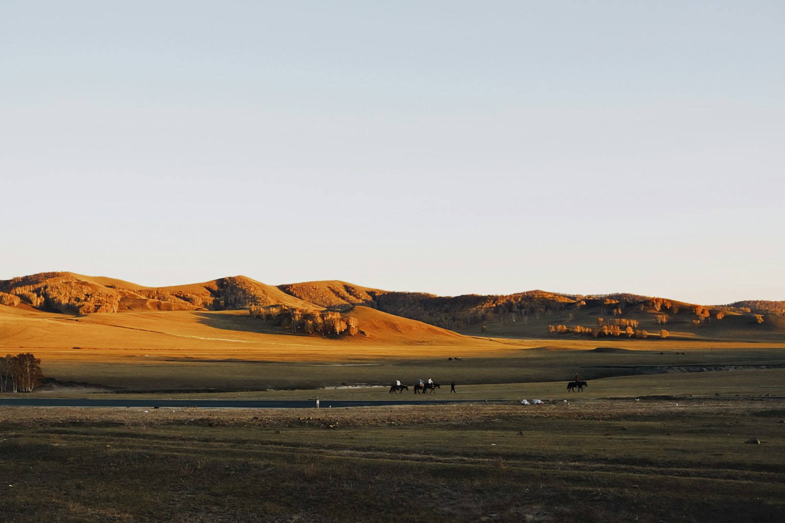The Economics of Nomadic Pastoralism