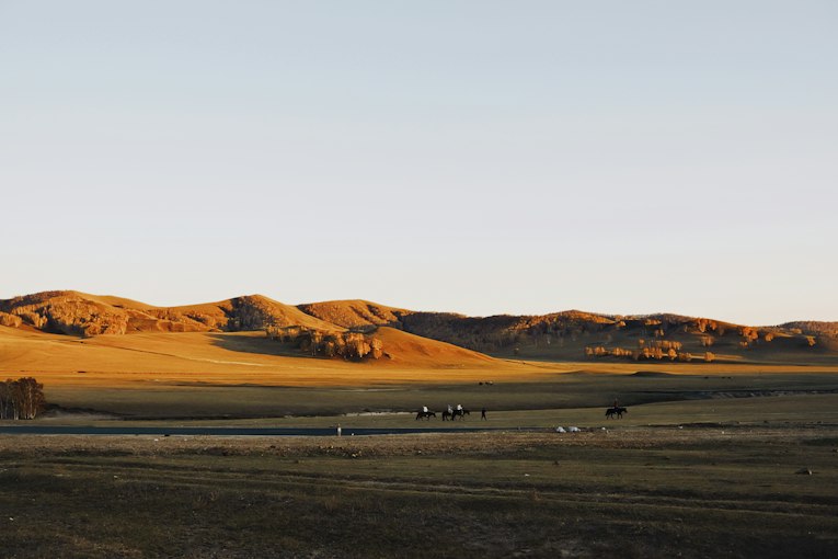 The Economics of Nomadic Pastoralism