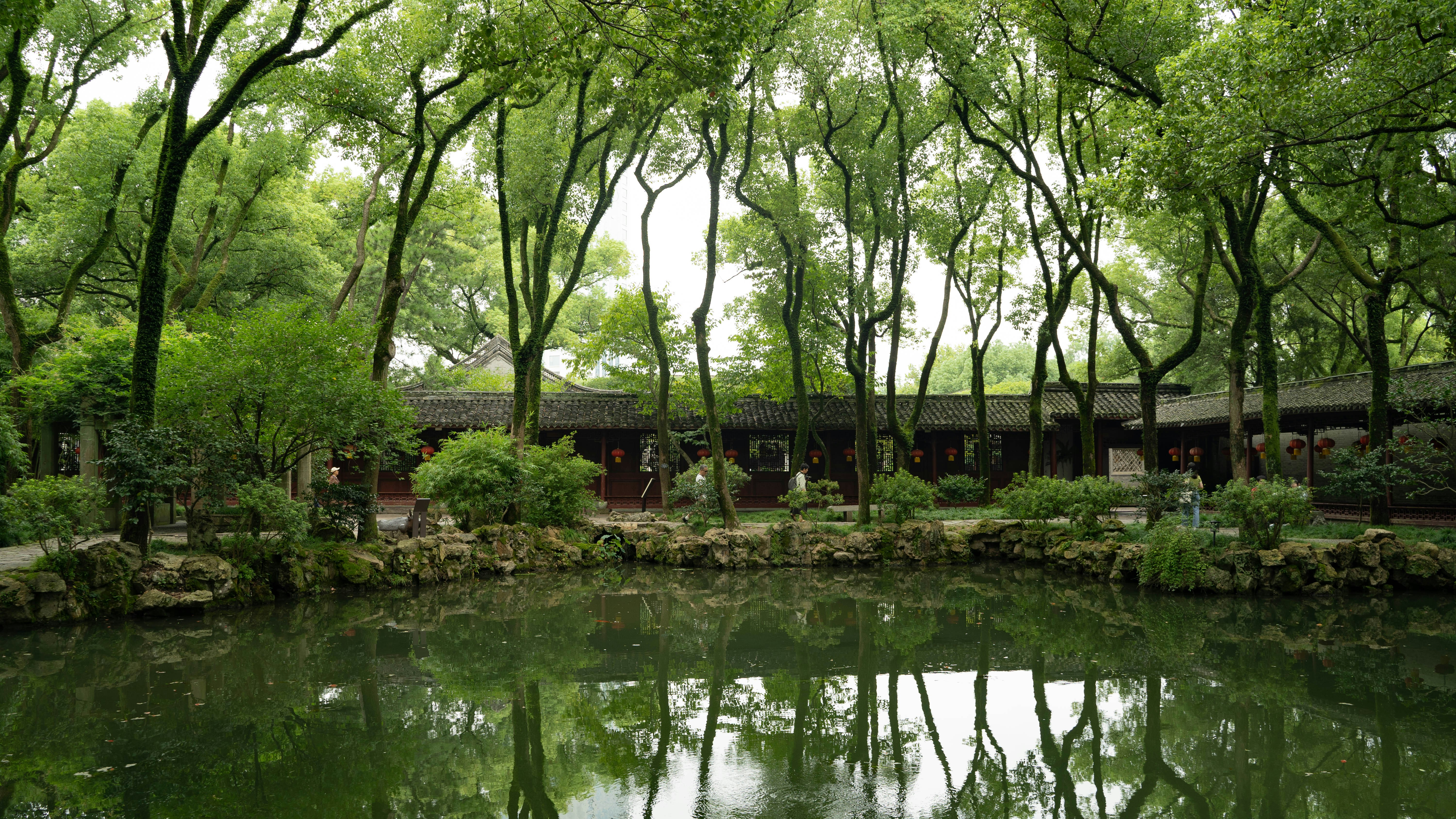A pond in Ningbo, China.