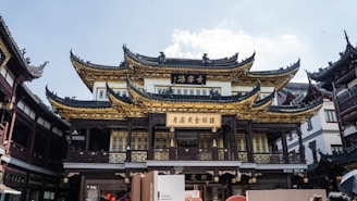 Intricately designed traditional Chinese architecture with ornate, curved rooflines. The building is adorned with gold and dark wood elements, showcasing detailed craftsmanship. Surrounding structures complement the central building’s style, creating a cohesive aesthetic in an urban setting.
