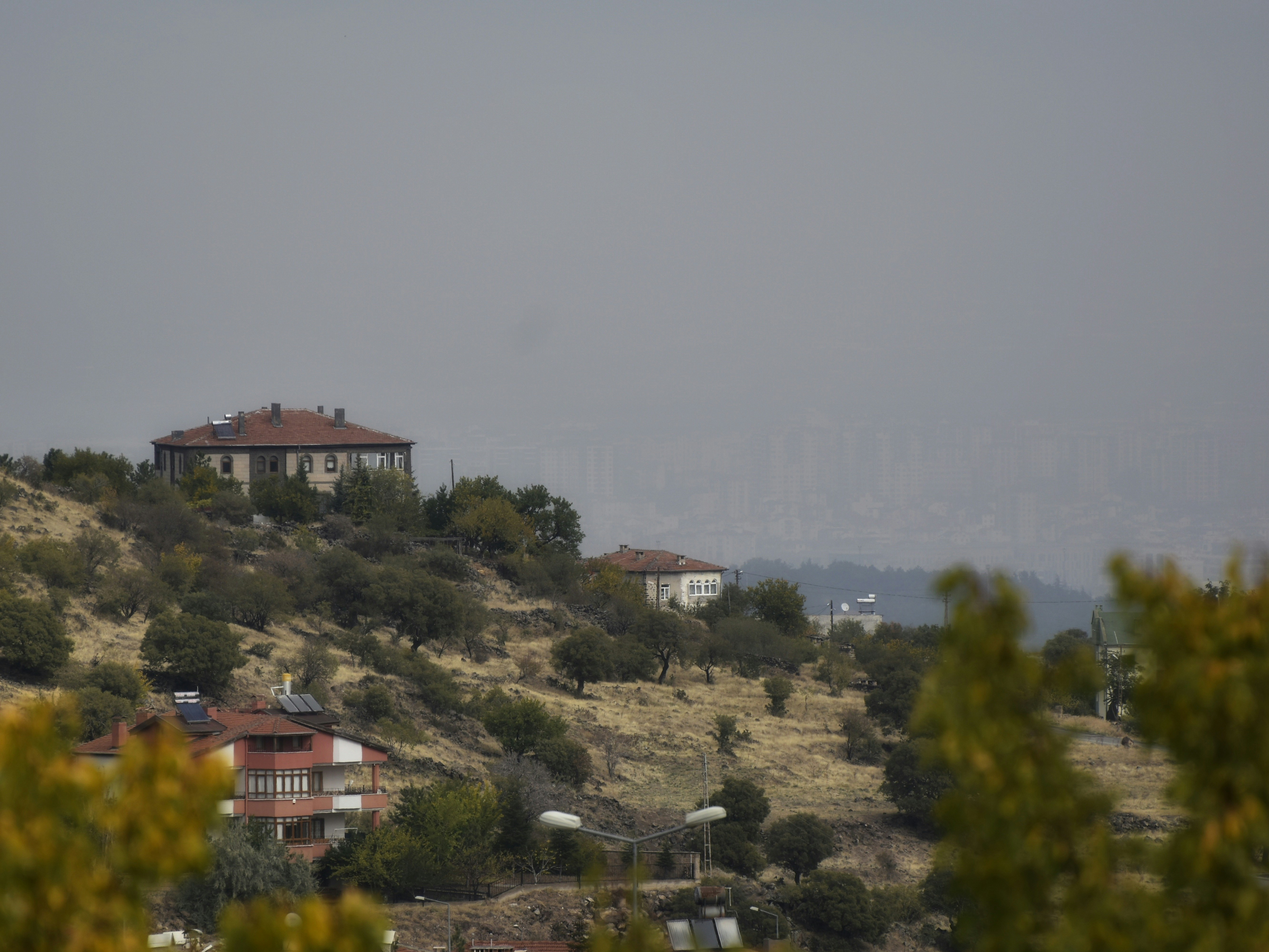 Rural vs Urban Living in America: A Detailed Comparison