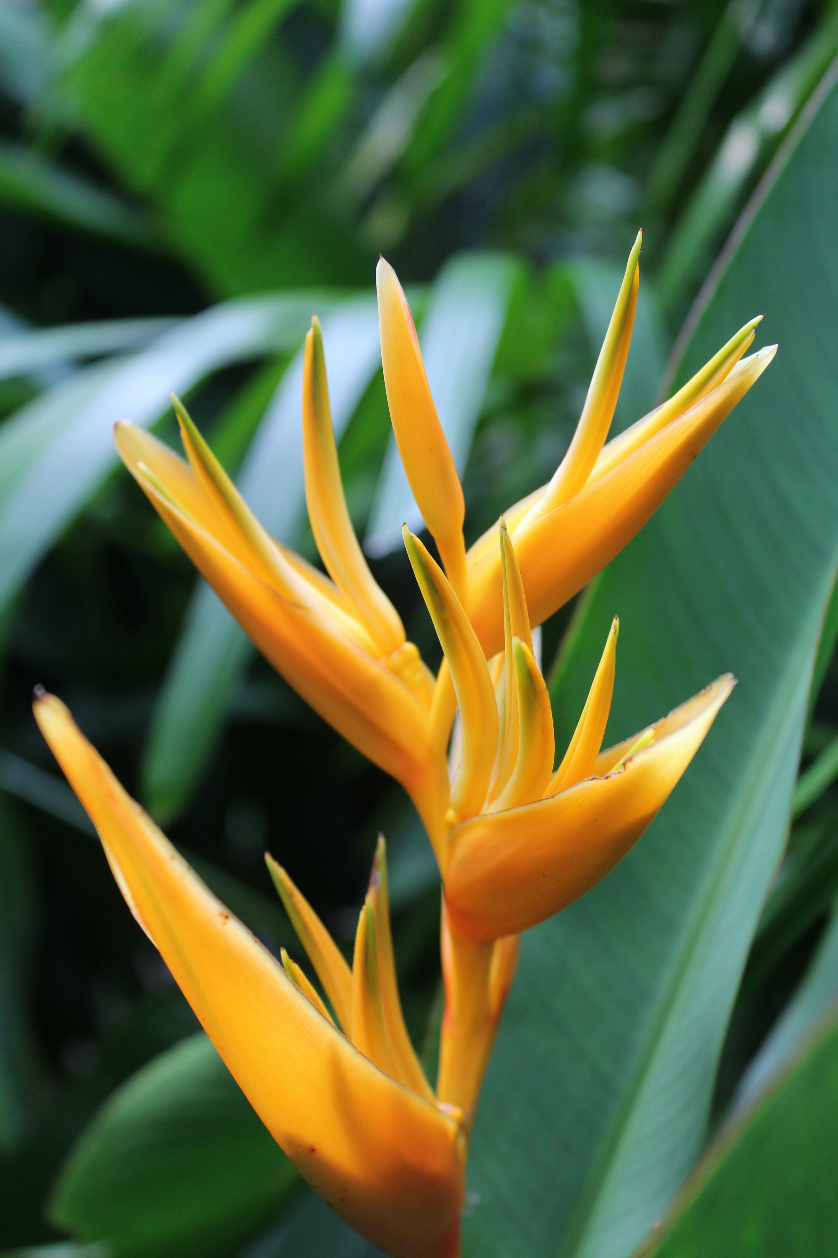 Photo by light_and_hope