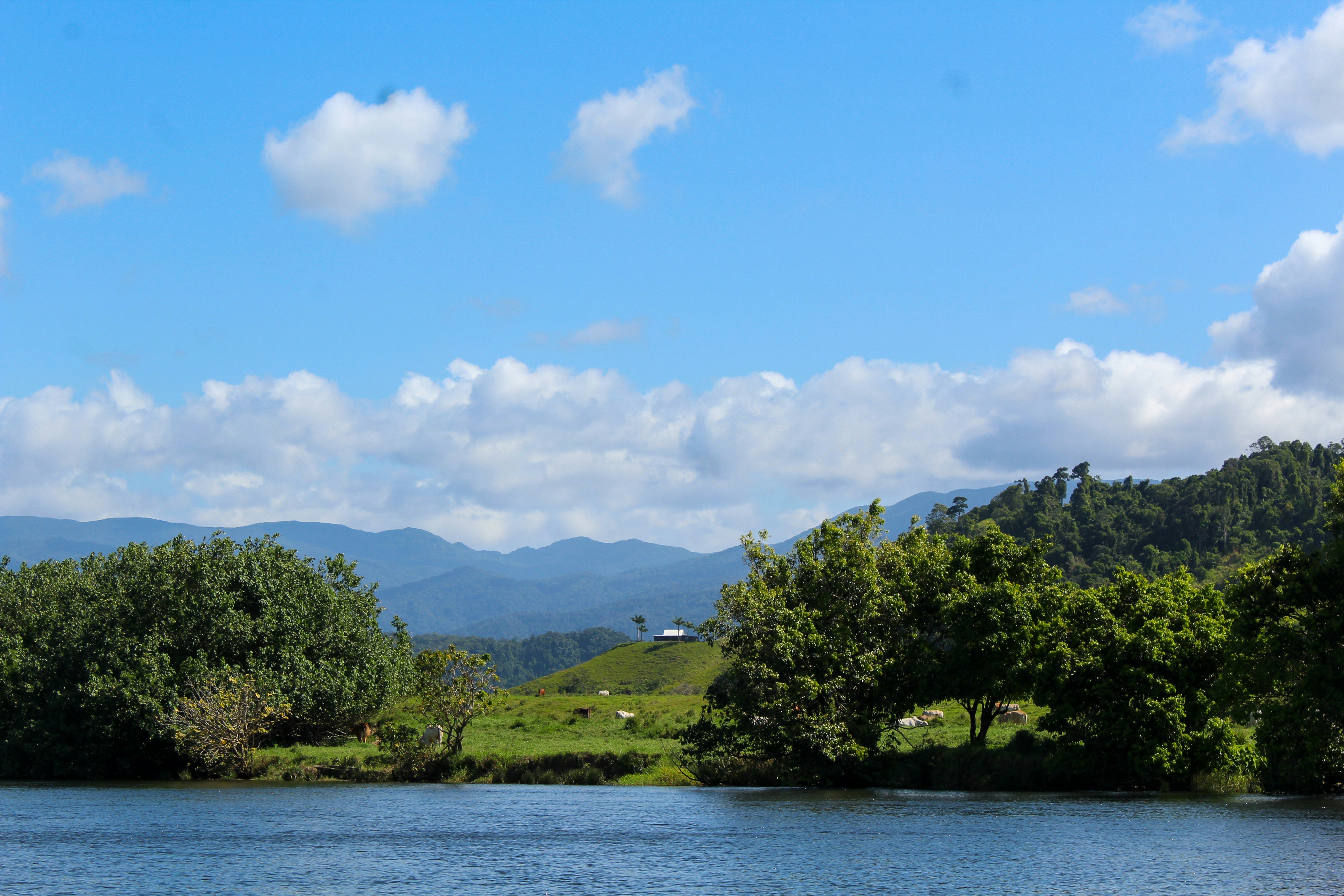a body of water surrounded by trees and mountains