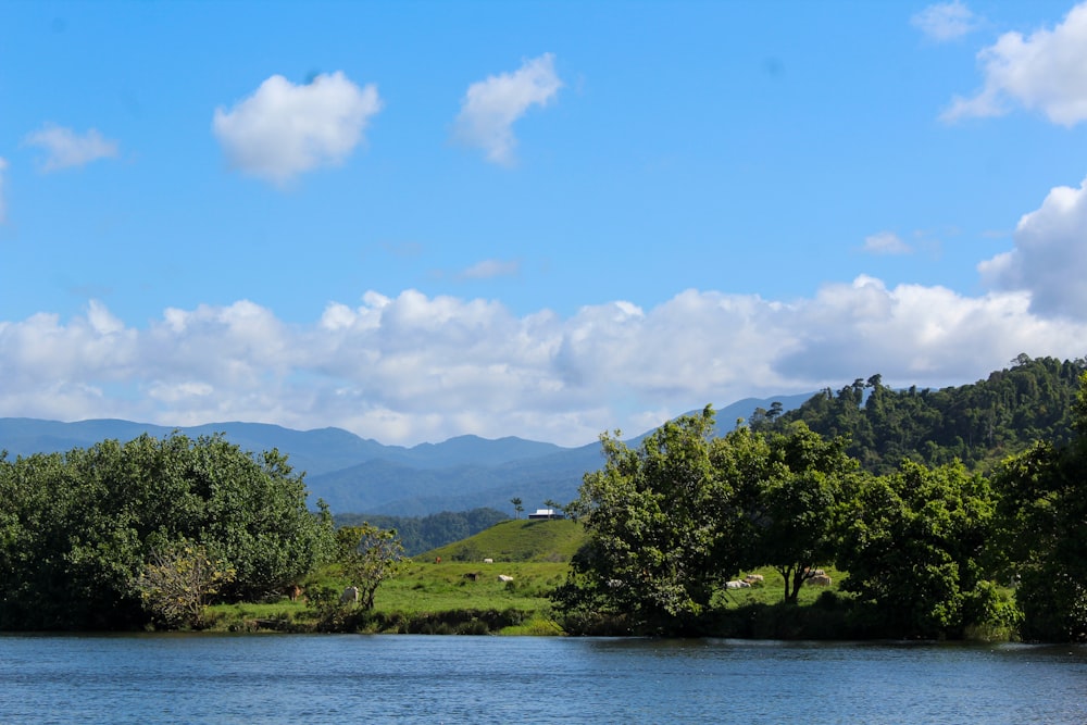 a body of water surrounded by trees and mountains