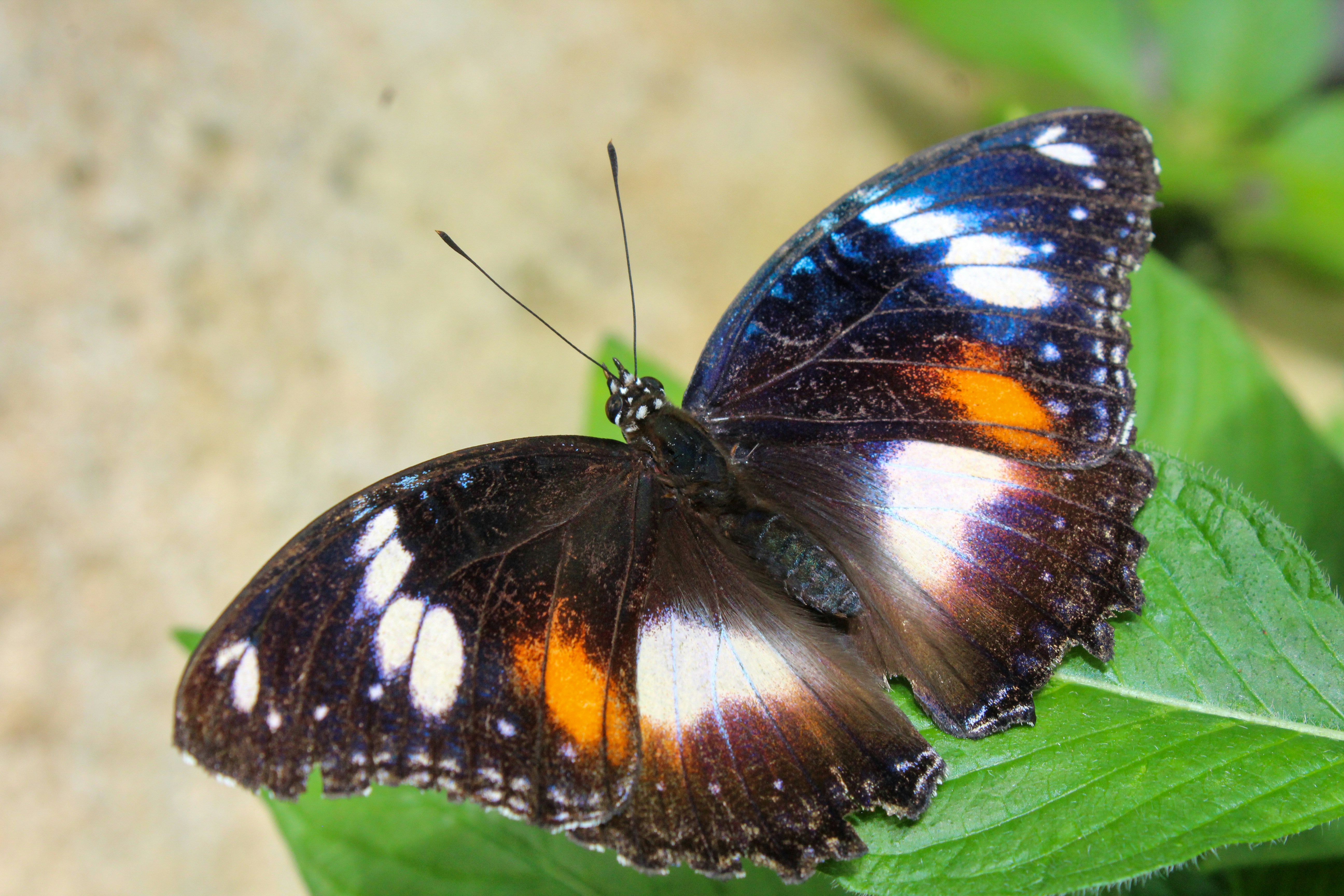 Photo by light_and_hope