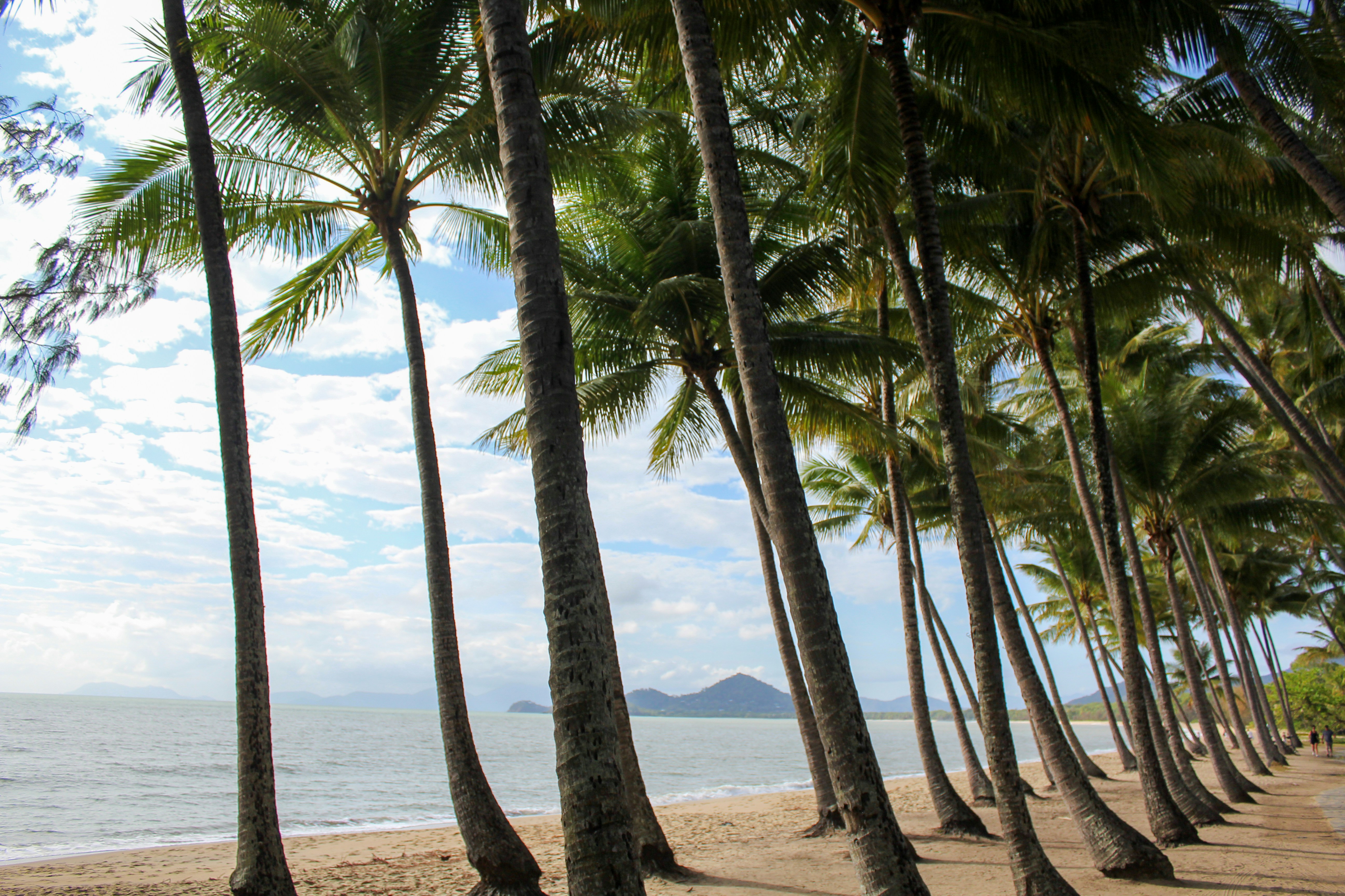 Photo by light_and_hope