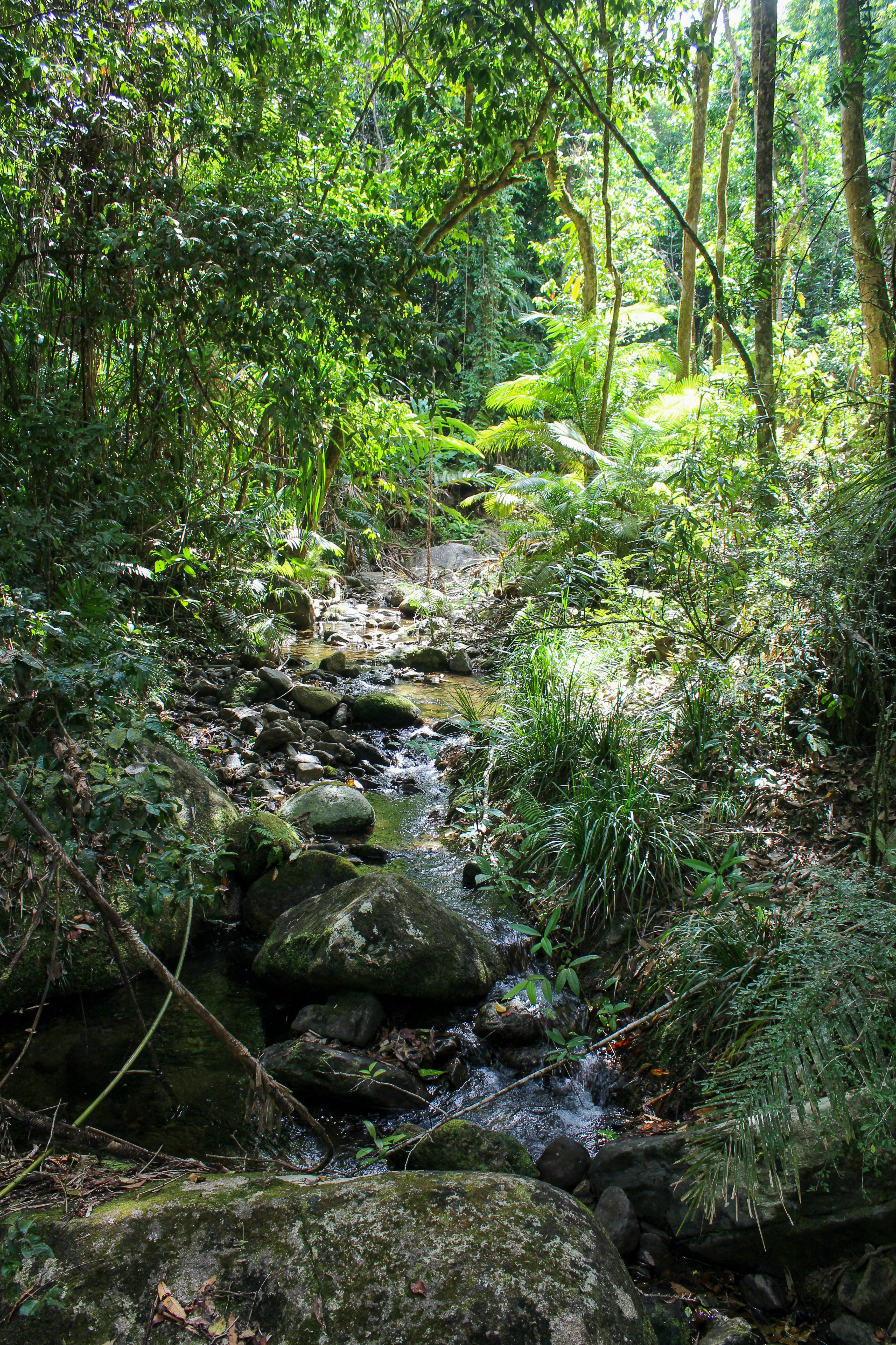 Photo by light_and_hope