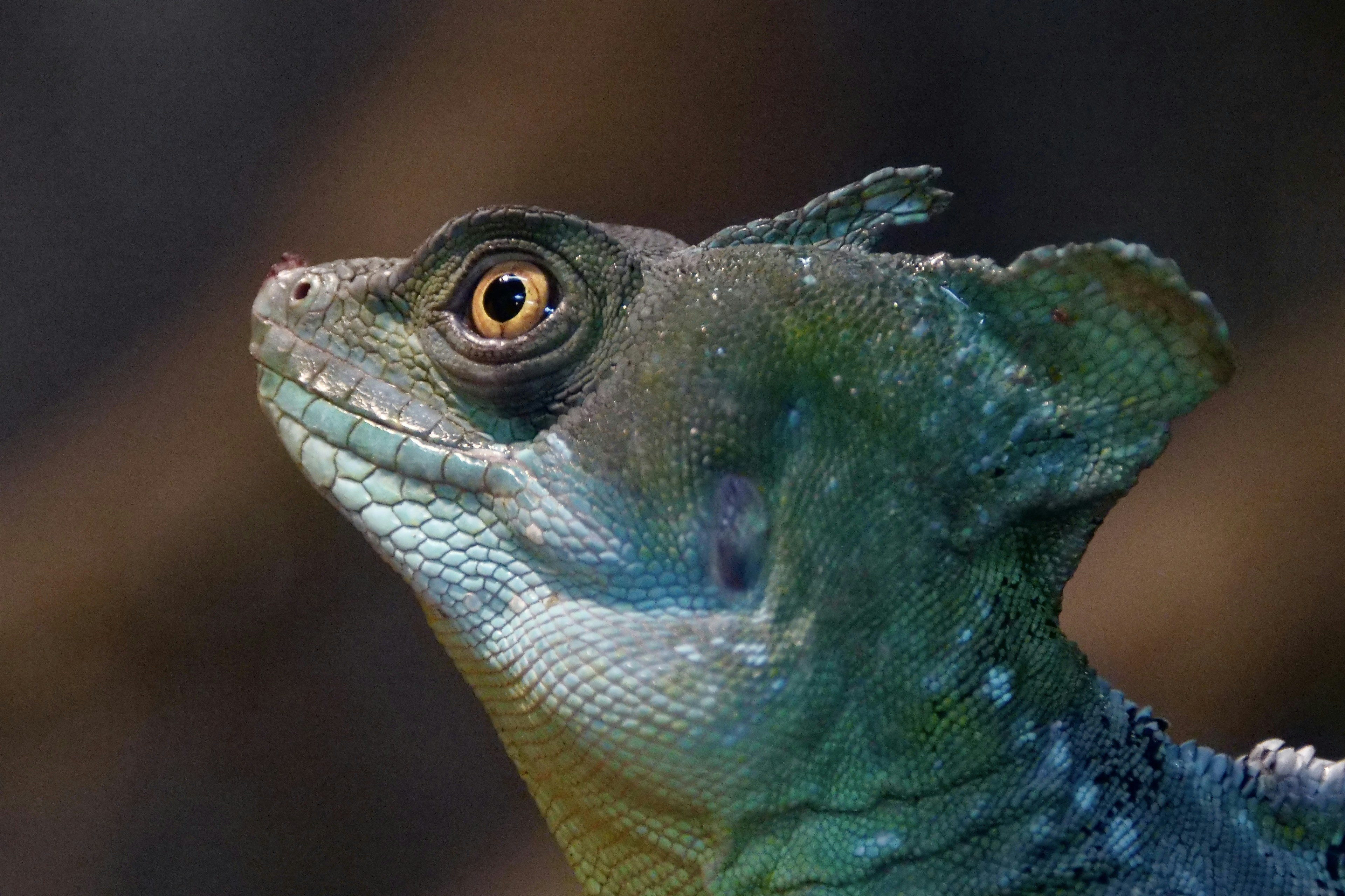 Photo by cocoshalalala