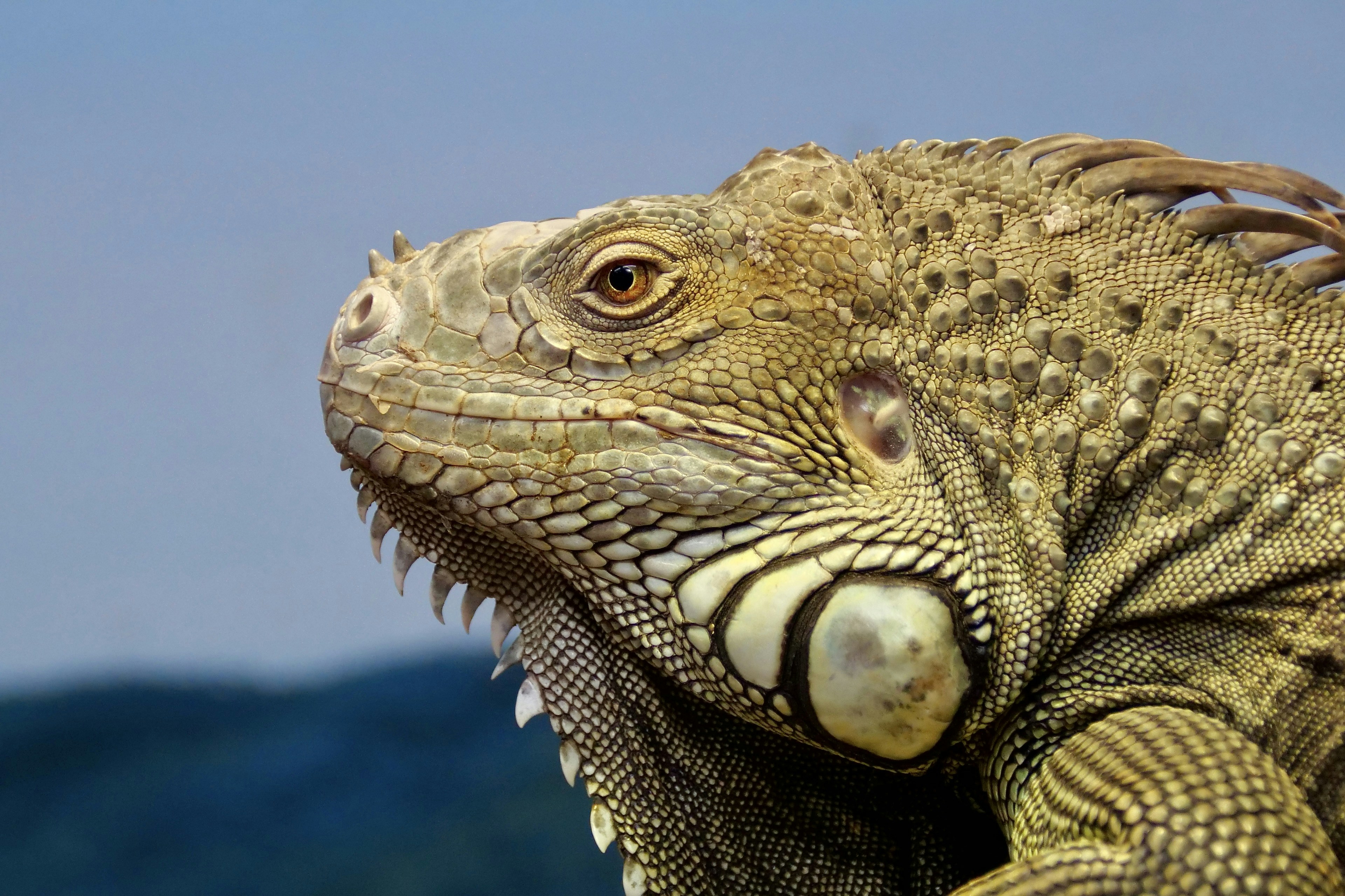 Photo by cocoshalalala