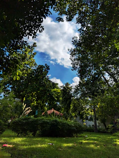 A spacious bungalow with a lush green garden under a clear blue sky