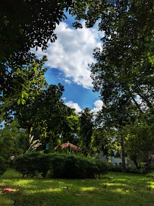 A warm, inviting family care home surrounded by a spacious garden under a clear blue sky.