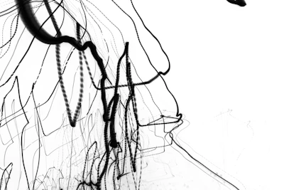 Abstract black and white composition of overlapping geometric shapes with thin gold lines.