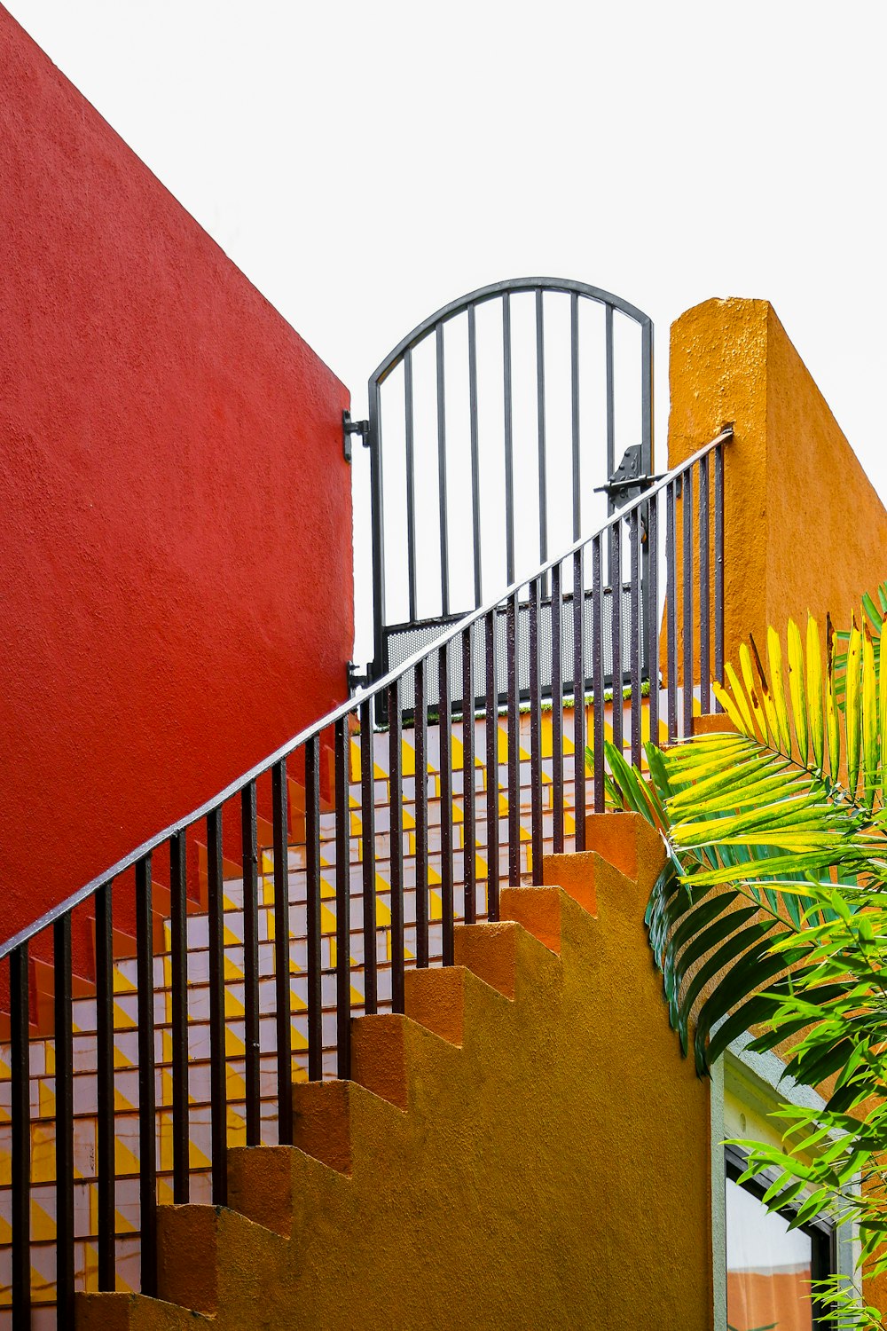 a stair case next to a red wall and a green plant