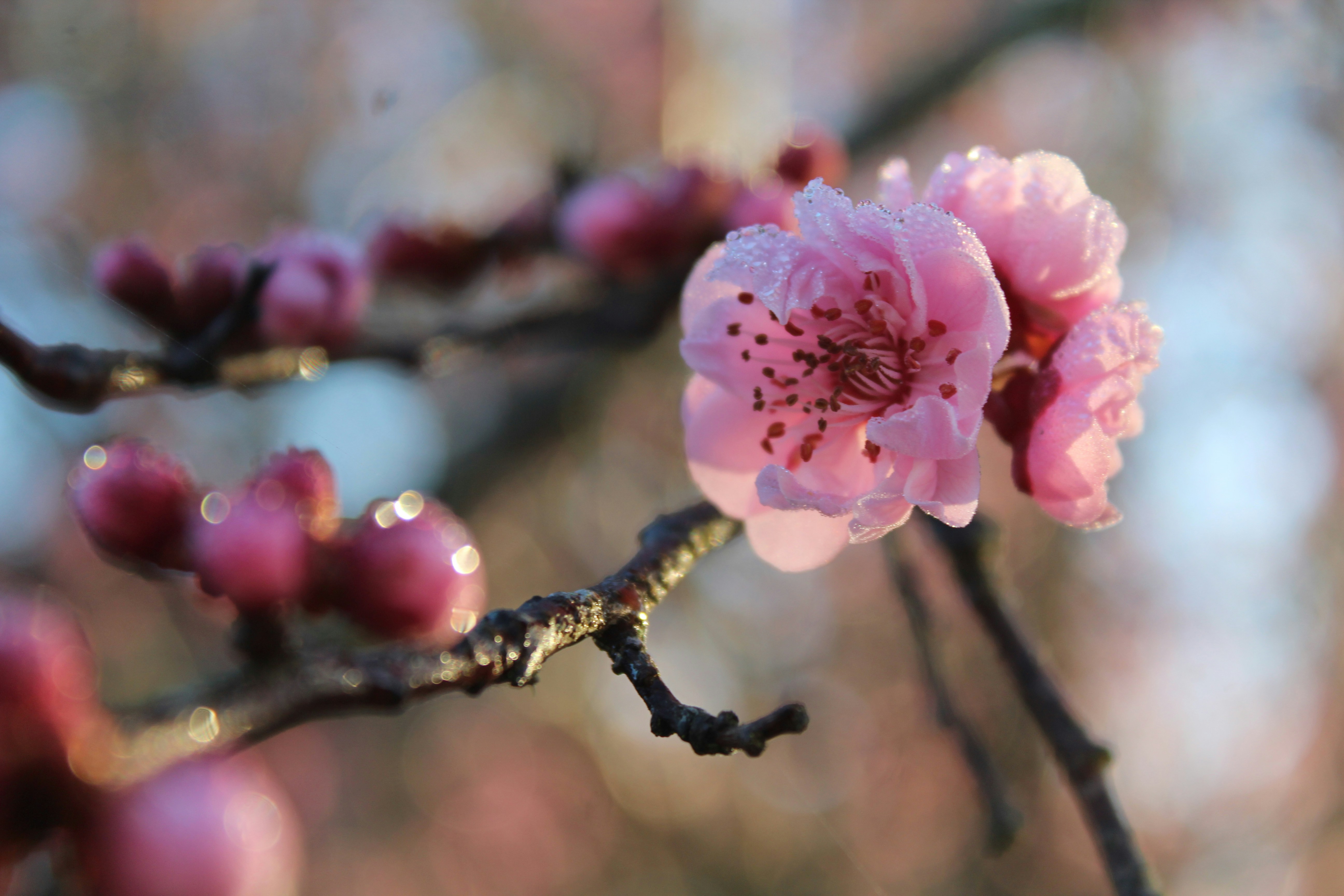 Photo by light_and_hope