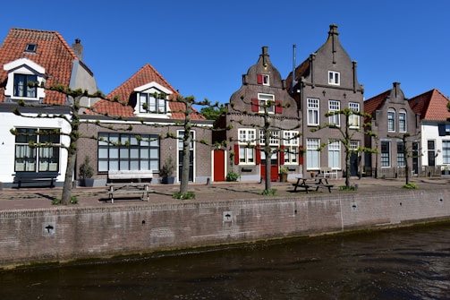Charming row of traditional Dutch houses with steep gabled roofs and red and brown brick exteriors. The facades include symmetric windows with white frames and some with red-painted shutters. Manicured trees line the sidewalk, each with trimmed branches. A canal runs along the foreground, adding a serene water element to the scene. A bright blue sky completes the picturesque setting.