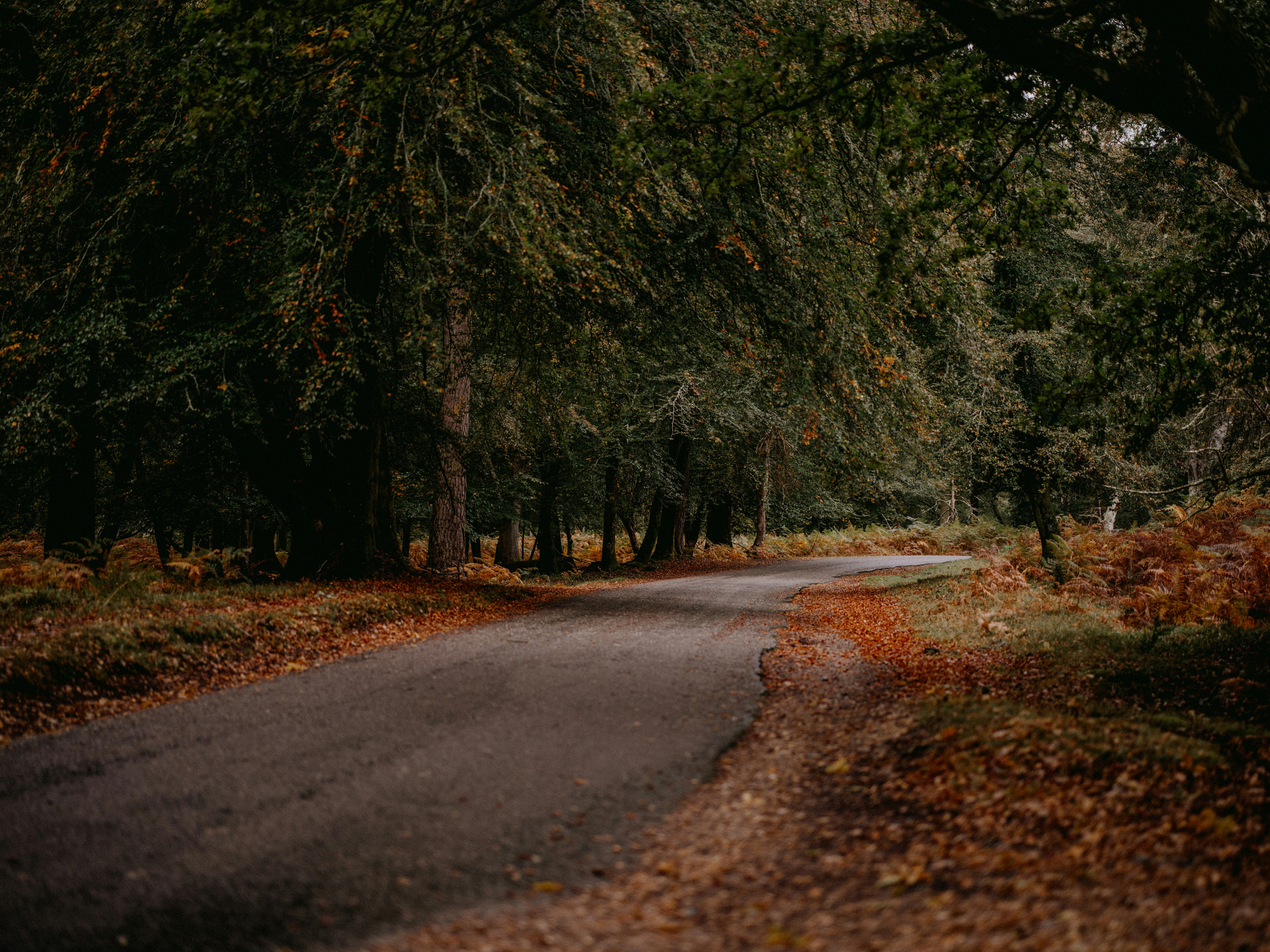 Photo by anniespratt