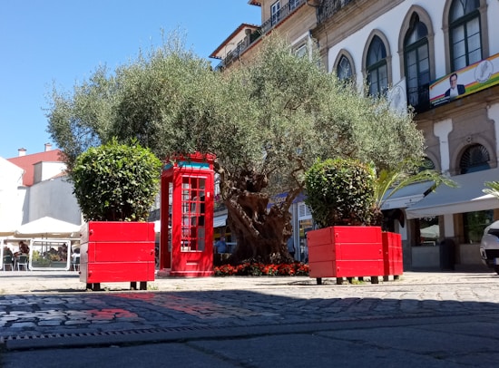 A vibrant urban scene featuring a large olive tree surrounded by red wooden planters. A traditional red telephone booth stands nearby, adding a splash of color. The background features charming historic buildings with arched windows.