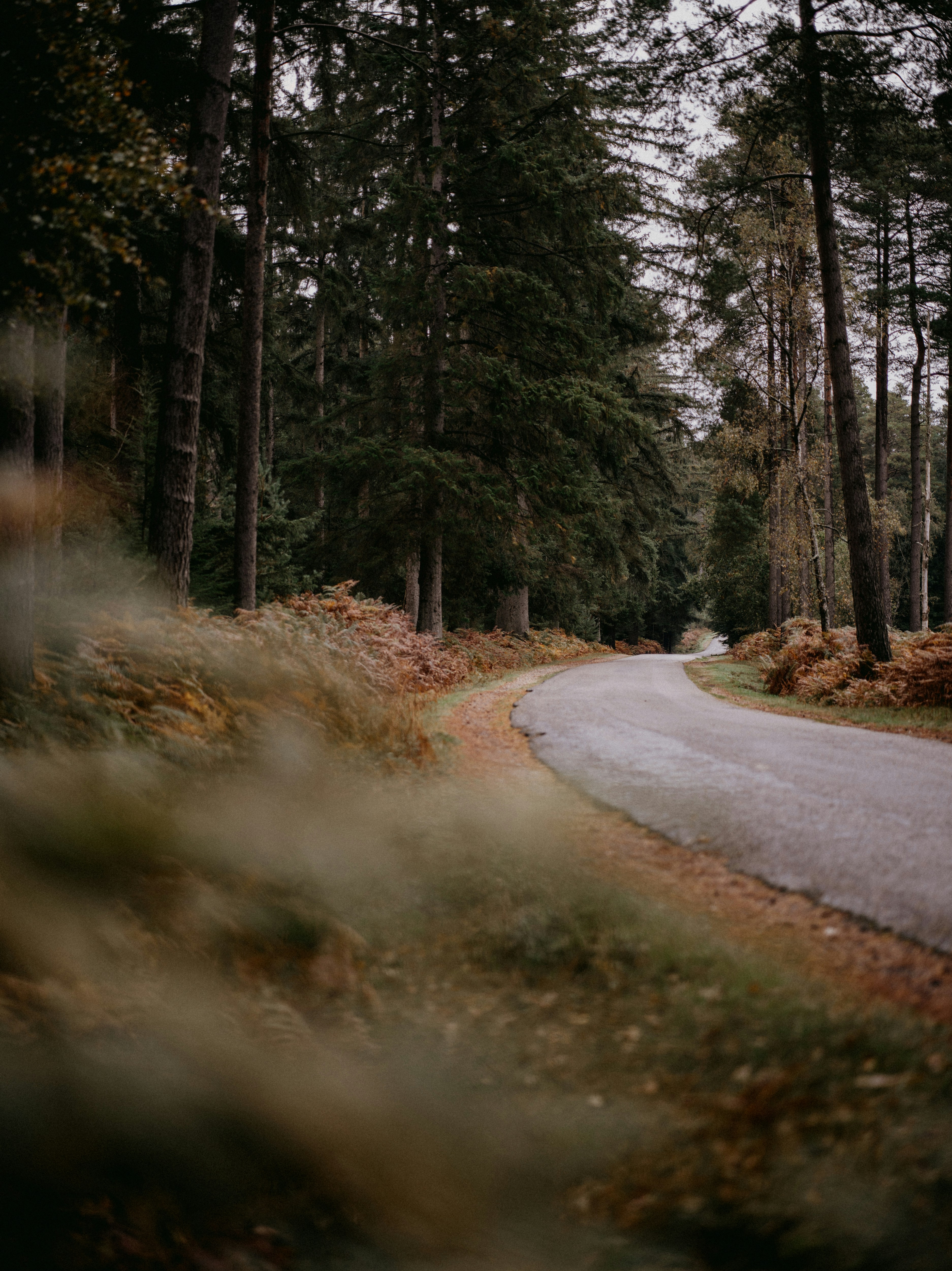 Photo by anniespratt