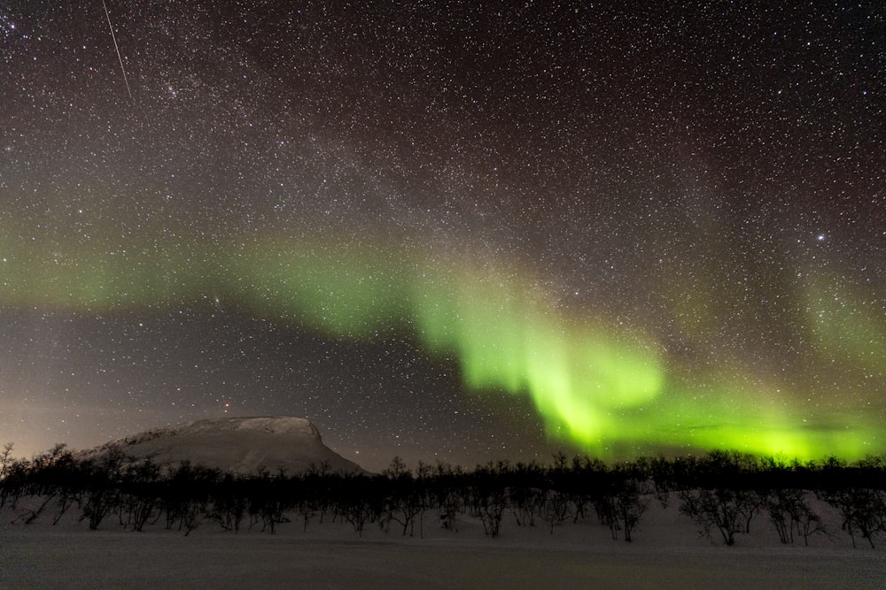 a green and yellow aurora bore is in the sky