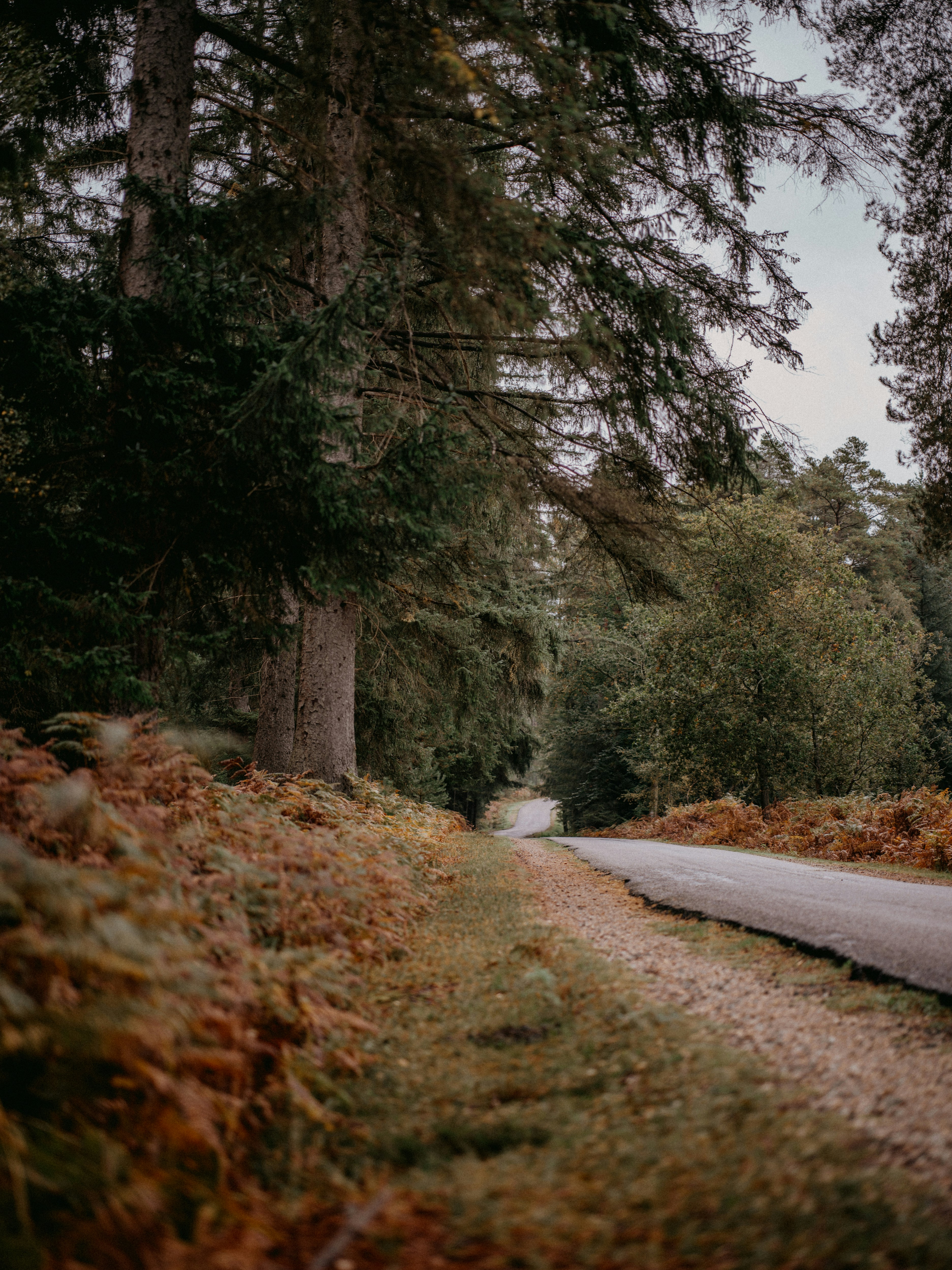 Photo by anniespratt