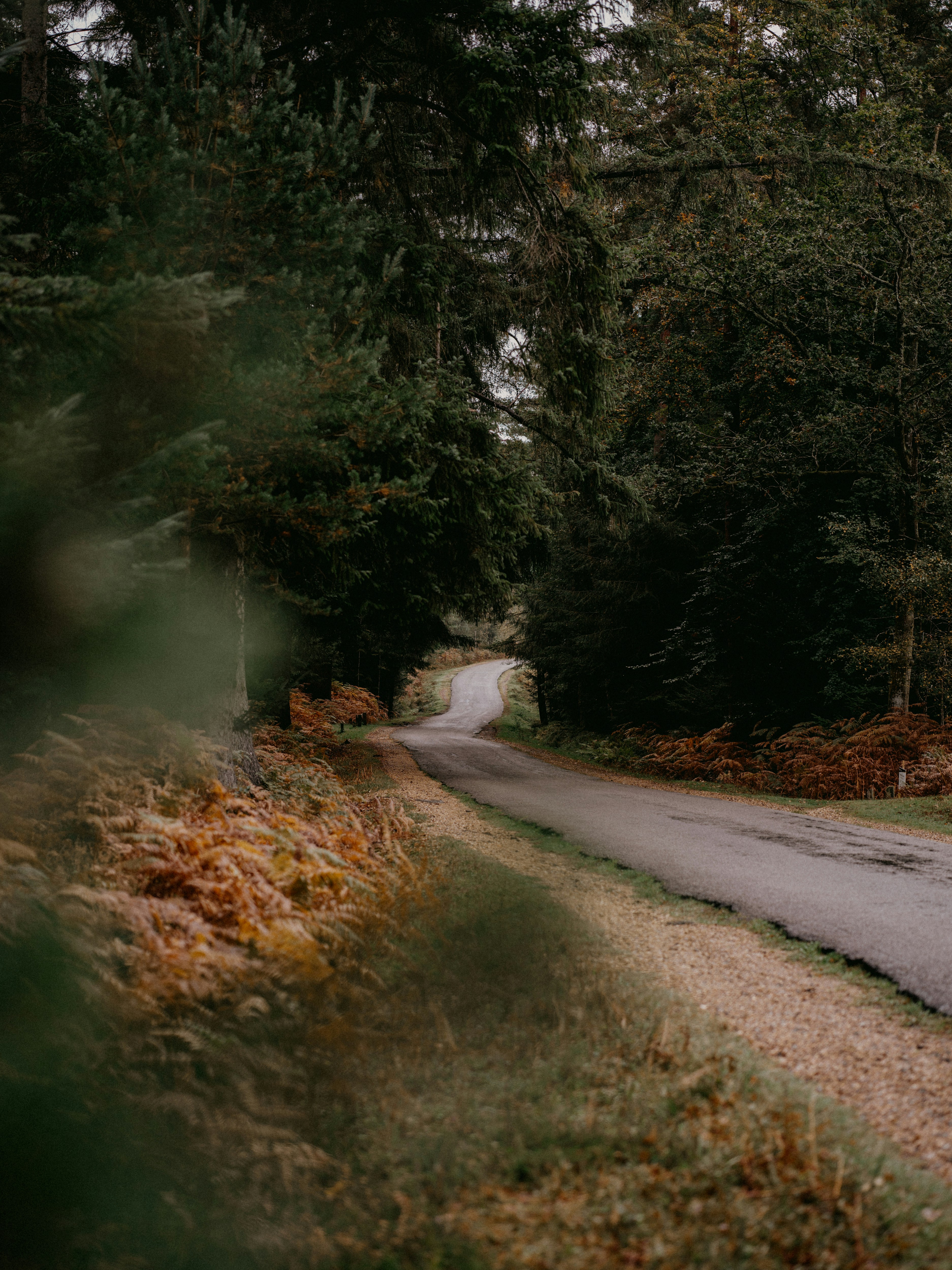 Photo by anniespratt