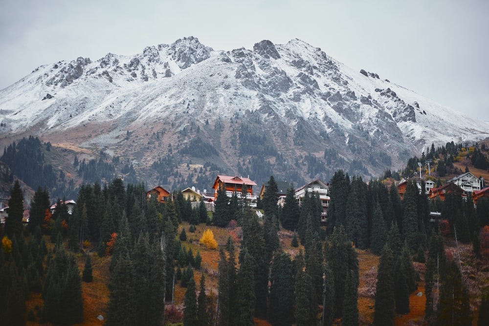 a snow covered mountain with houses in the foreground