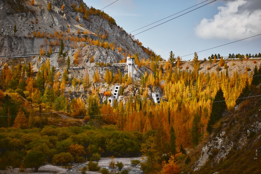 a scenic view of a mountain with trees in the foreground