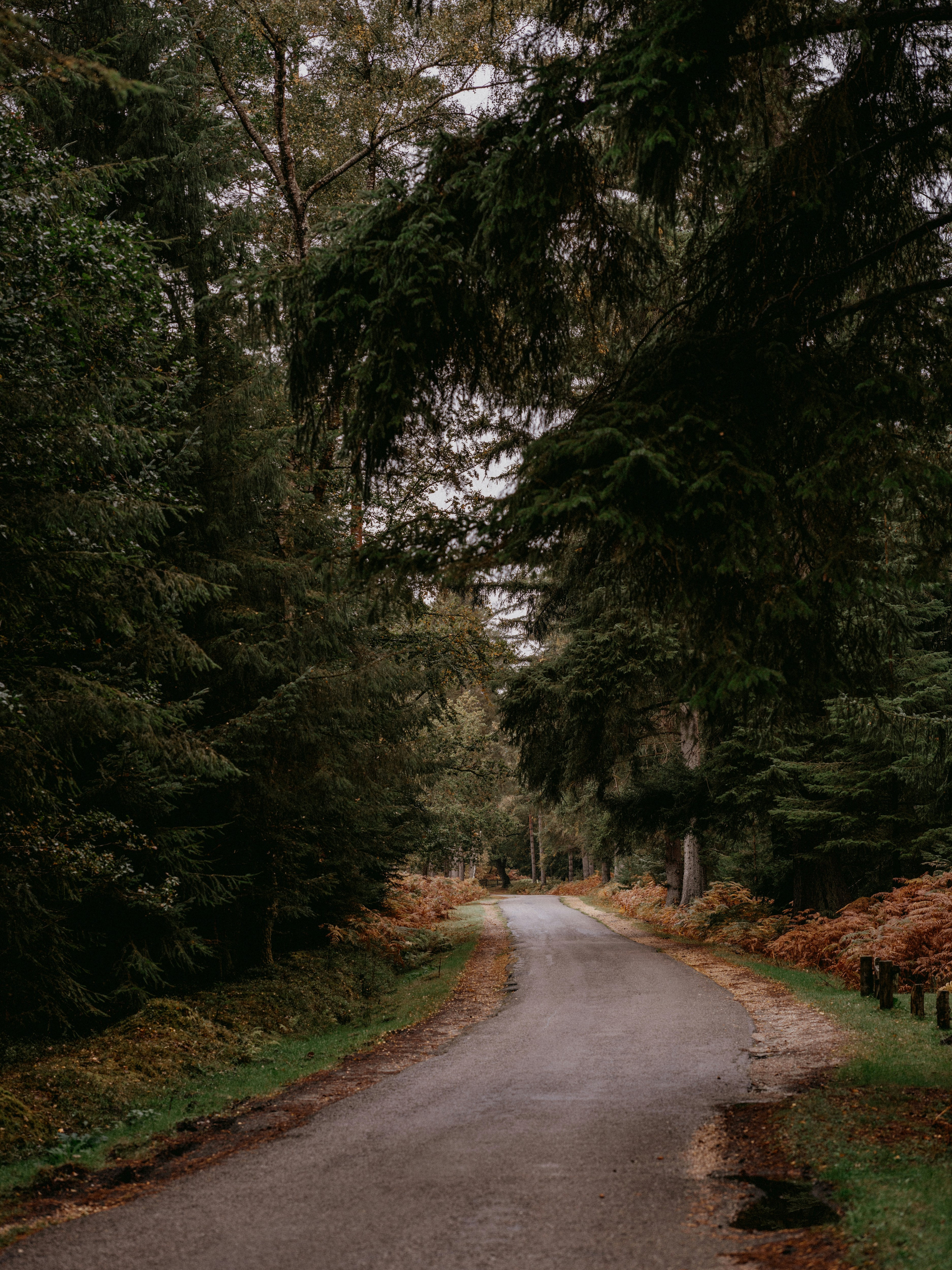 Photo by anniespratt