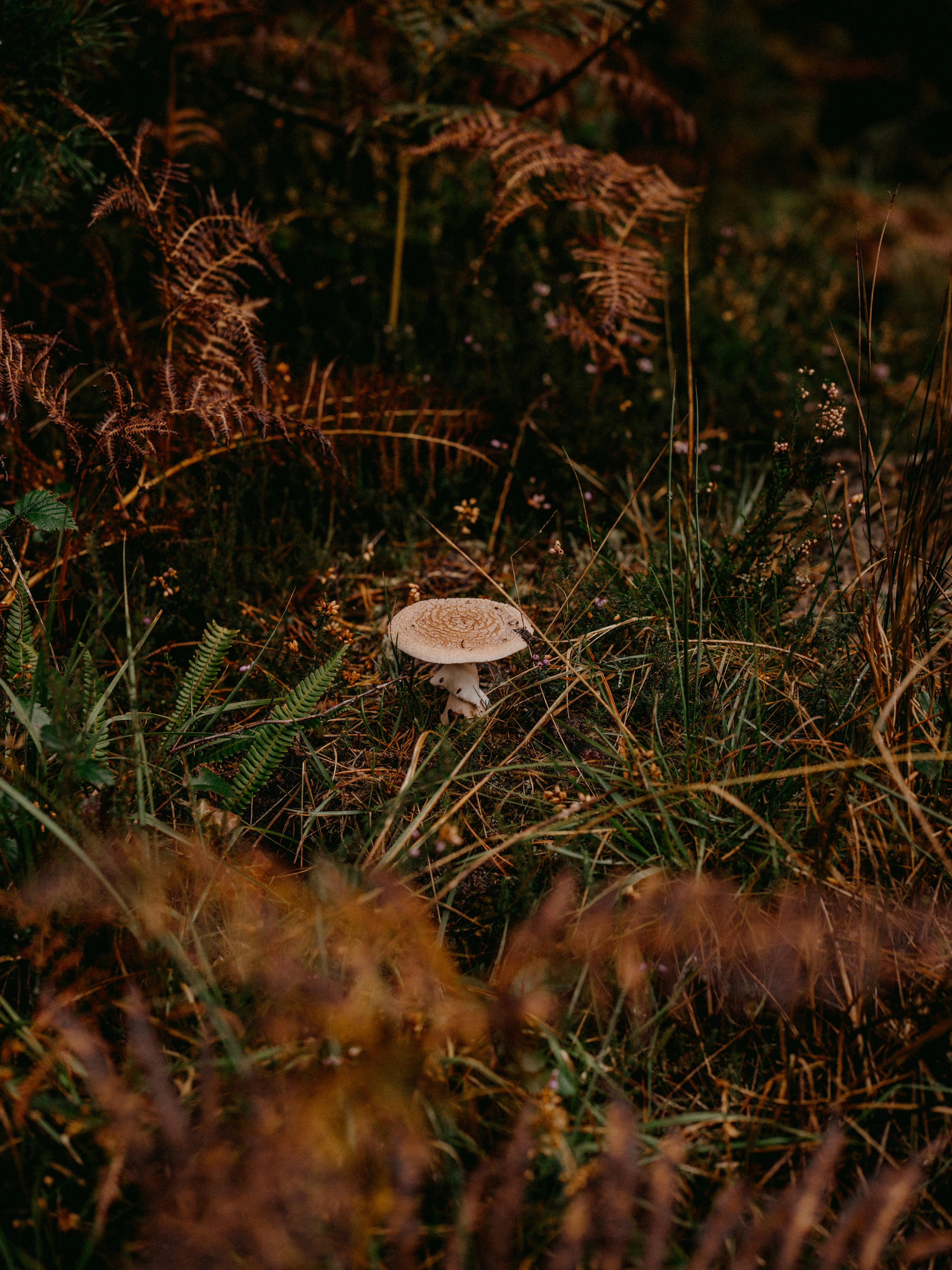 Photo by anniespratt