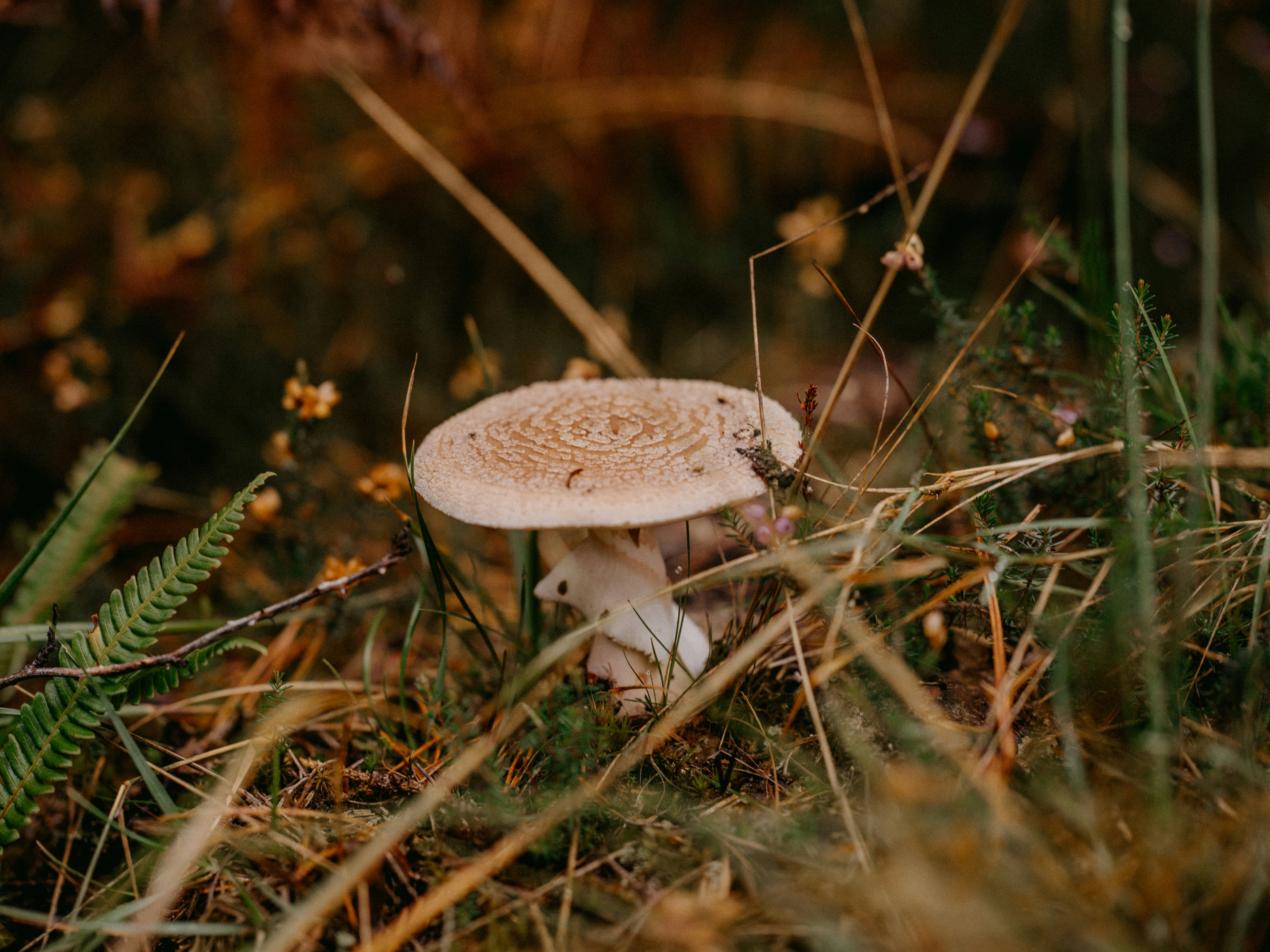 Photo by anniespratt