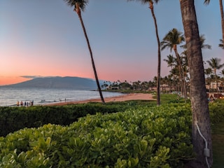 A vibrant scene of travelers enjoying a sunset on a tropical beach, with luggage and smiles all around.