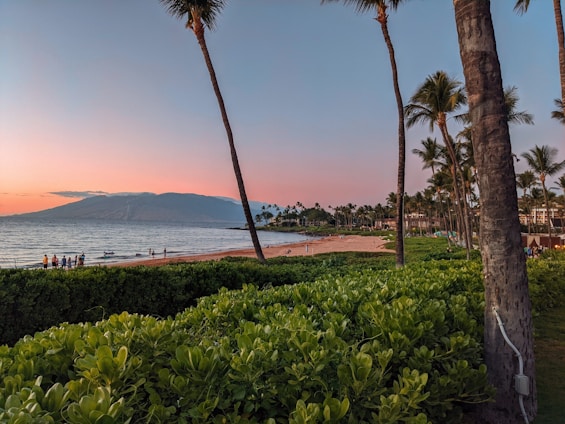 A vibrant scene of travelers enjoying a sunset on a tropical beach, with luggage and smiles all around.