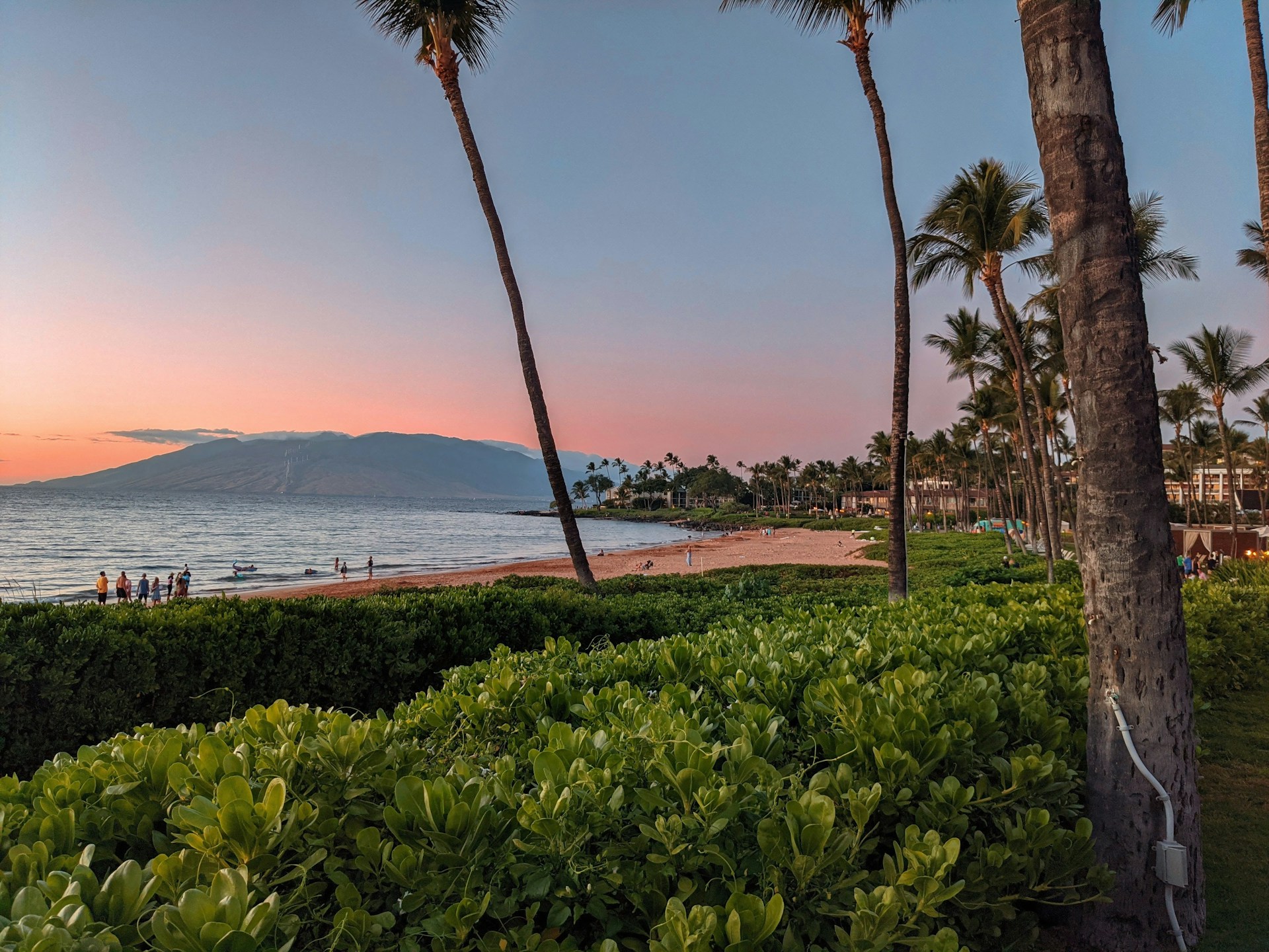 A vibrant Hawaiian beach scene at sunrise, with lush tropical foliage framing the sparkling ocean, inspired by Moana's warm and bright style.