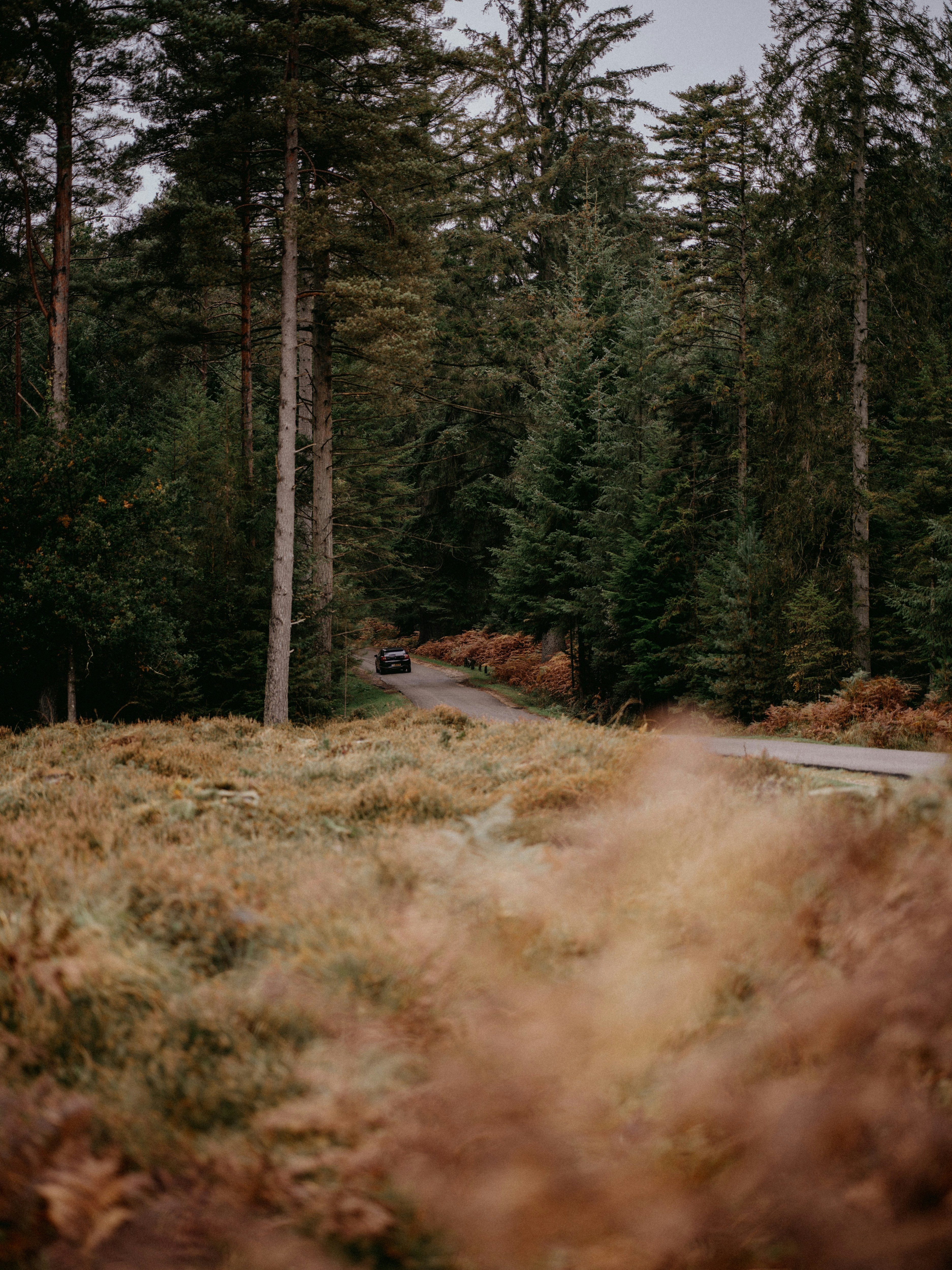 Photo by anniespratt