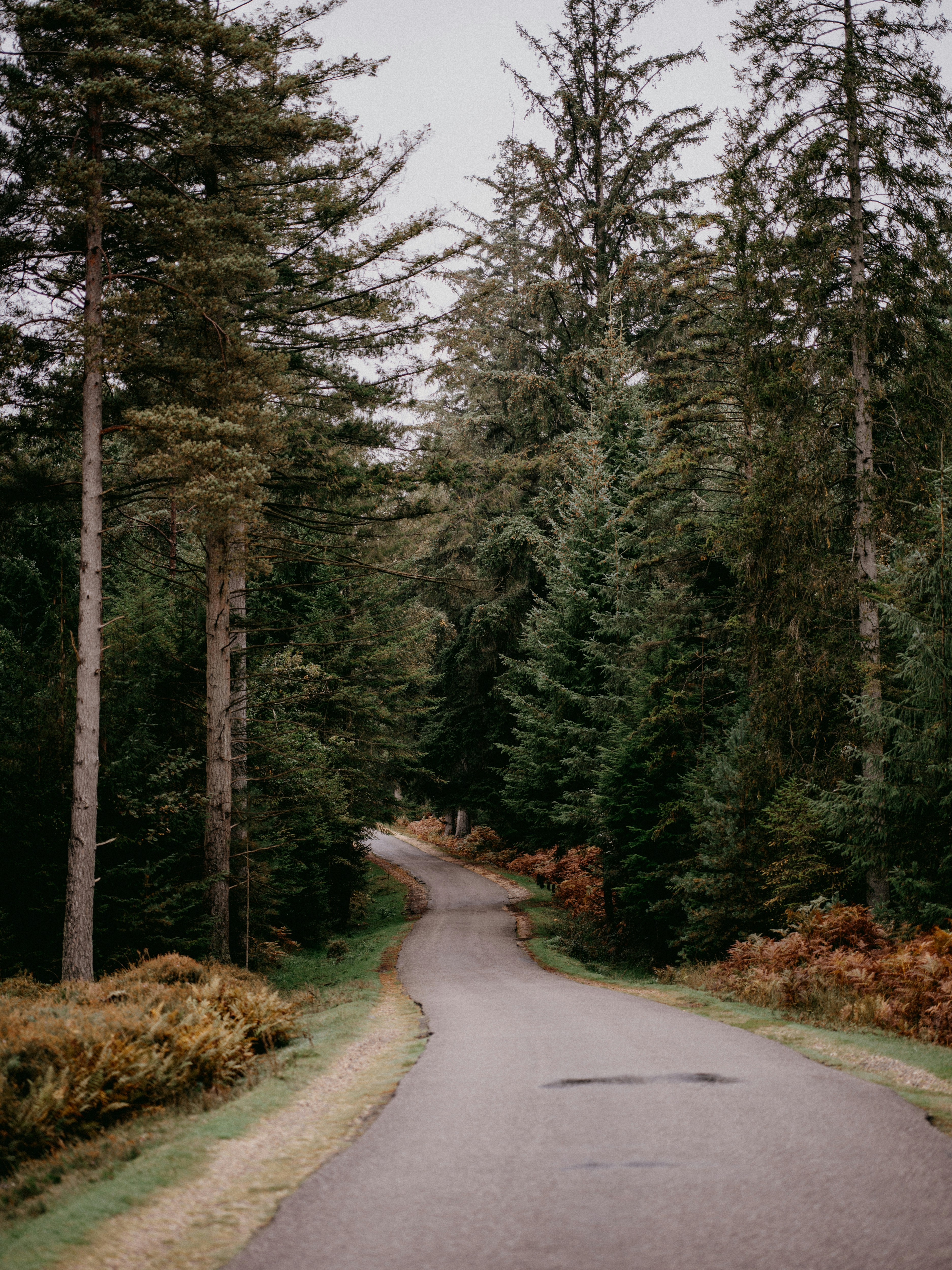 Photo by anniespratt