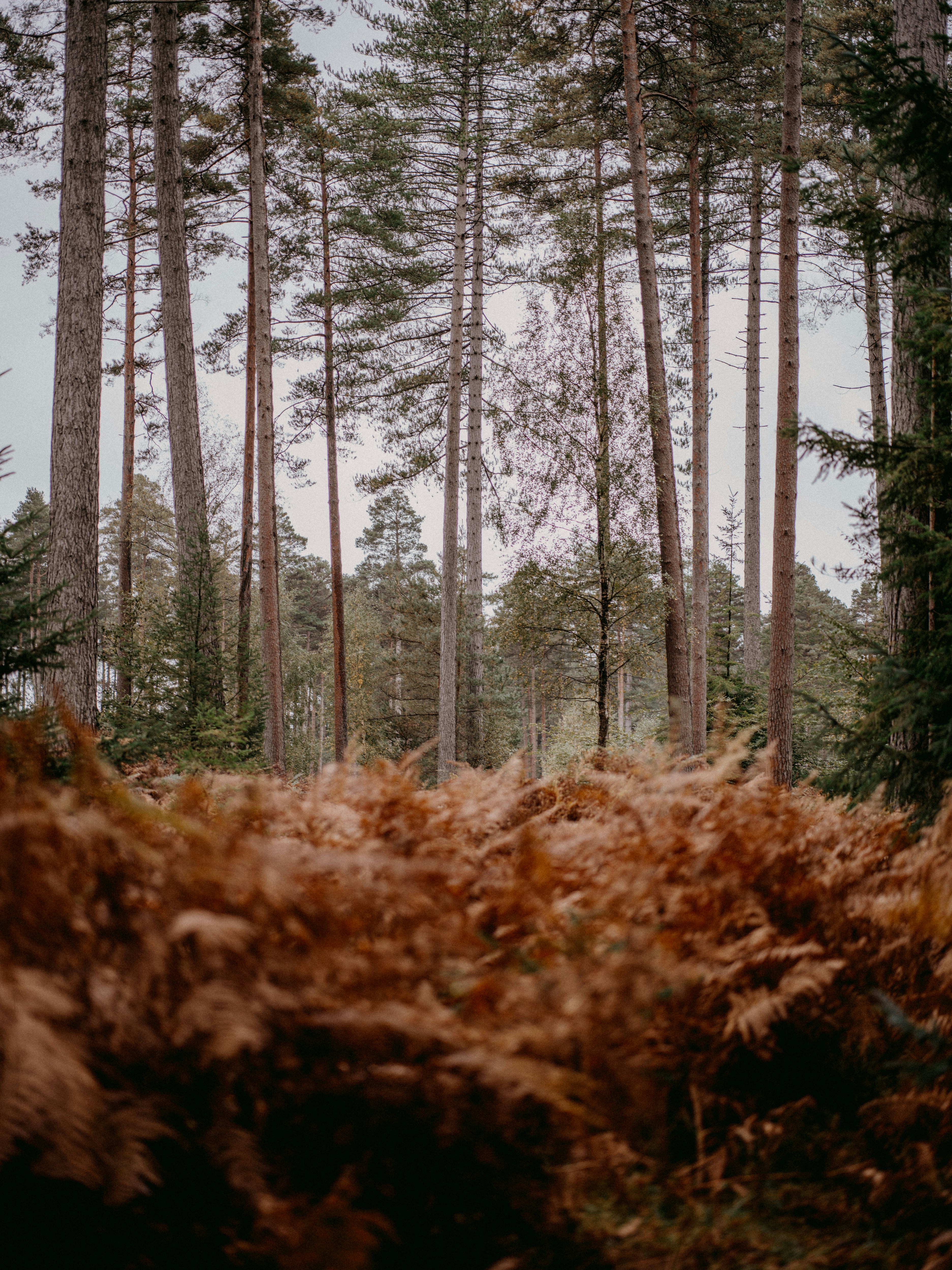 Photo by anniespratt